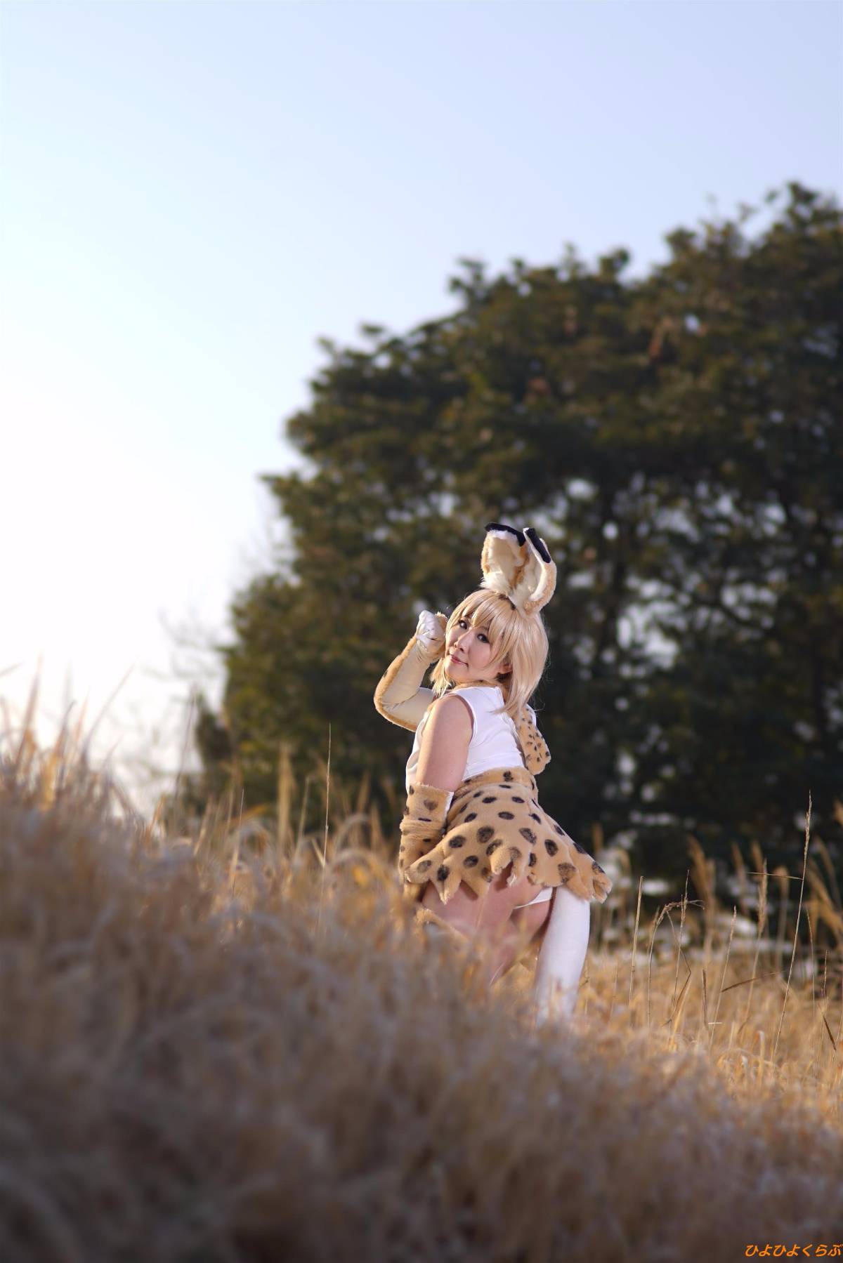 [Hiyohii Love] Bộ sưu tập ảnh của các tư thế khiêu dâm của Serval-Chan