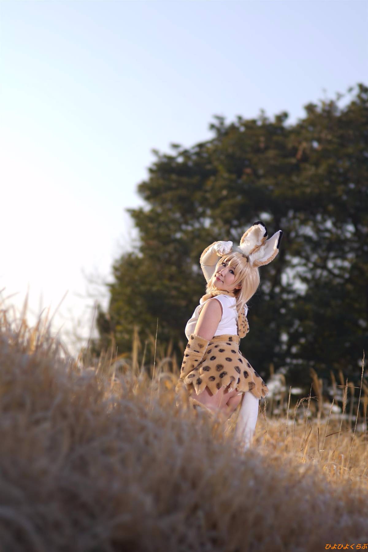 [Hiyohii Love] Bộ sưu tập ảnh của các tư thế khiêu dâm của Serval-Chan