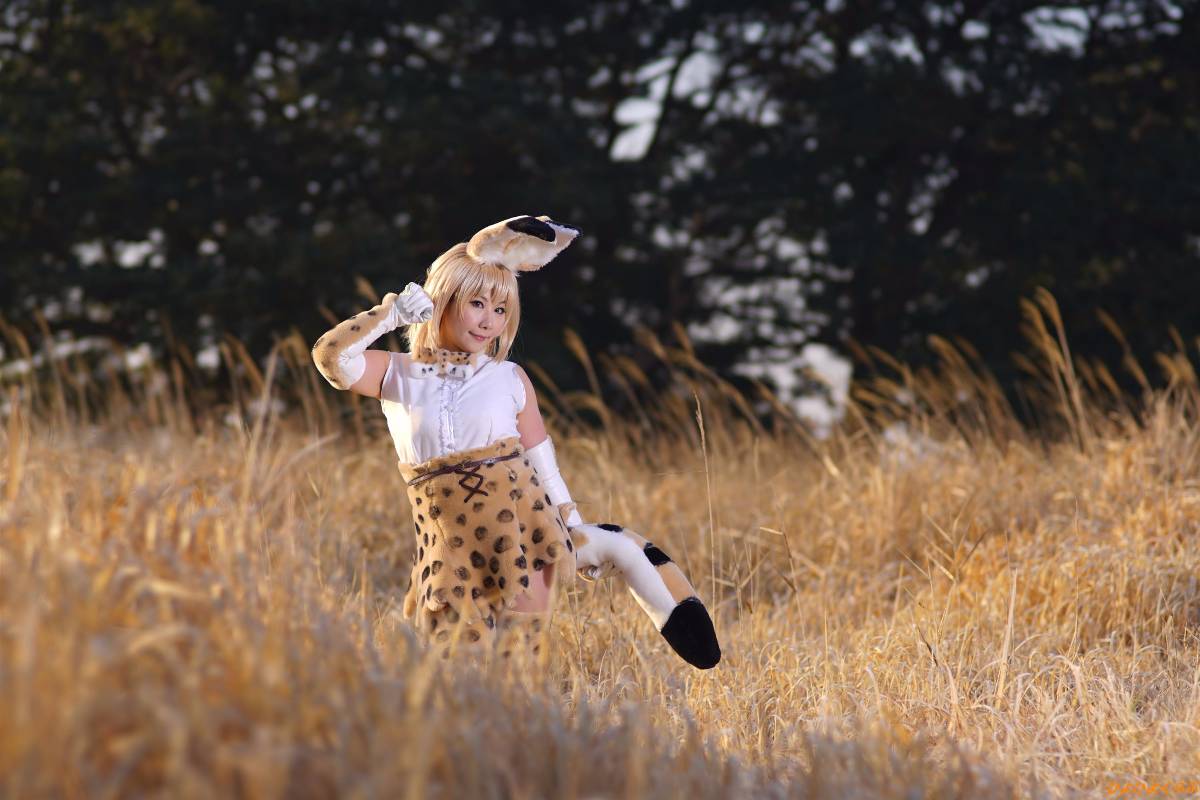 [Hiyohii Love] Bộ sưu tập ảnh của các tư thế khiêu dâm của Serval-Chan