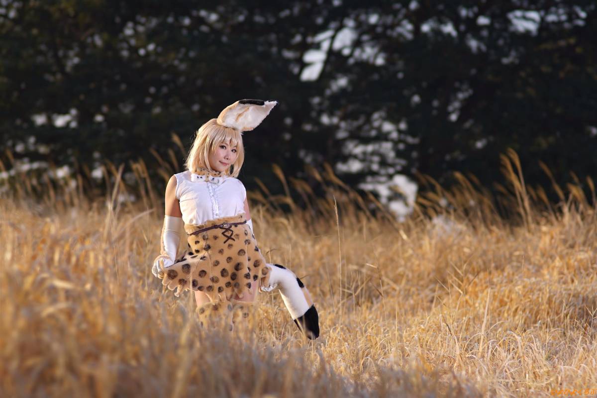 [Hiyohii Love] Bộ sưu tập ảnh của các tư thế khiêu dâm của Serval-Chan