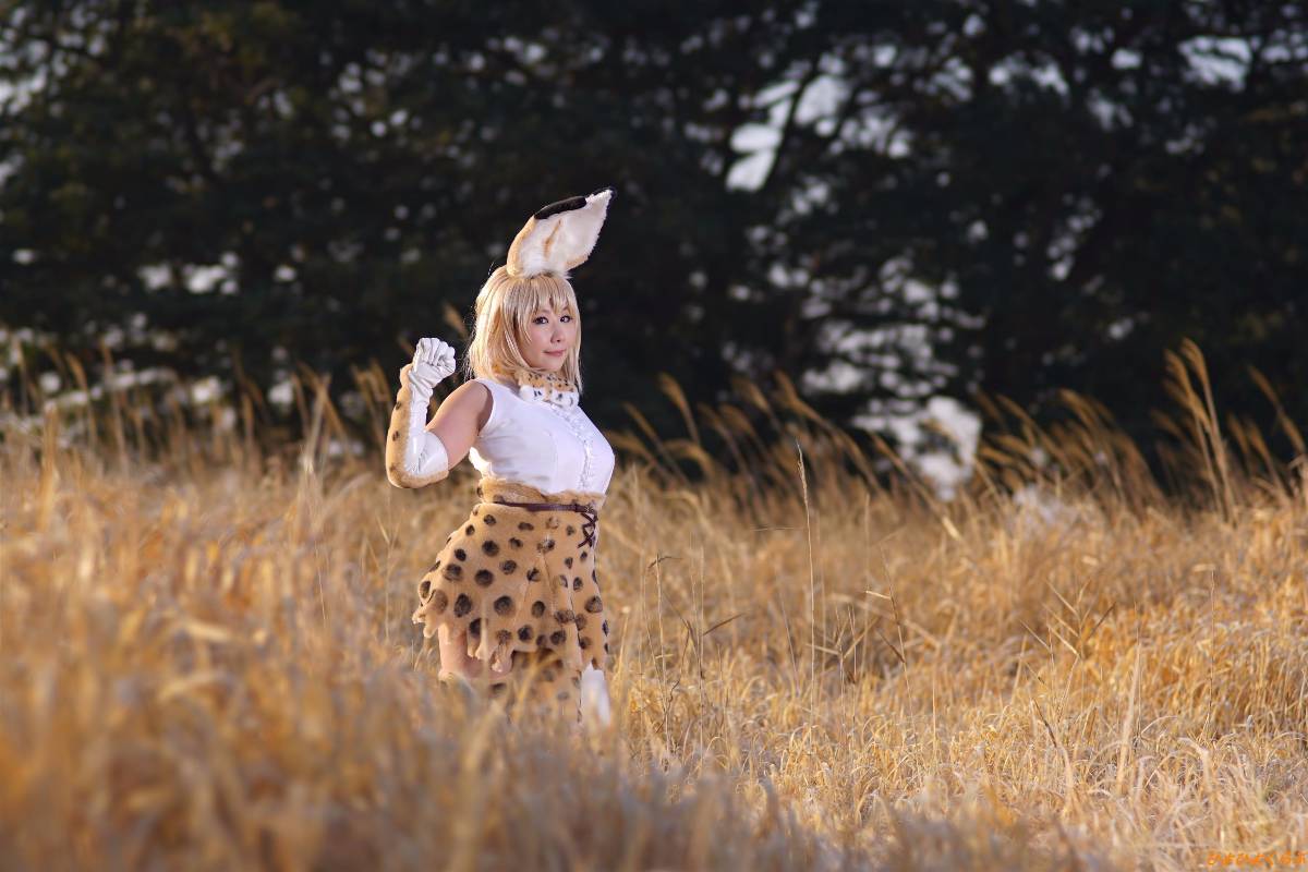 [Hiyohii Love] Bộ sưu tập ảnh của các tư thế khiêu dâm của Serval-Chan