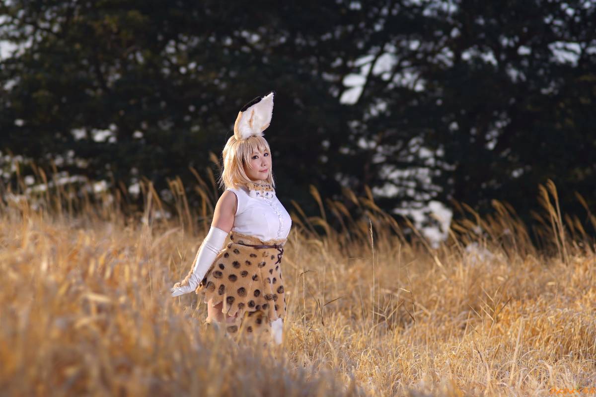 [Hiyohii Love] Bộ sưu tập ảnh của các tư thế khiêu dâm của Serval-Chan