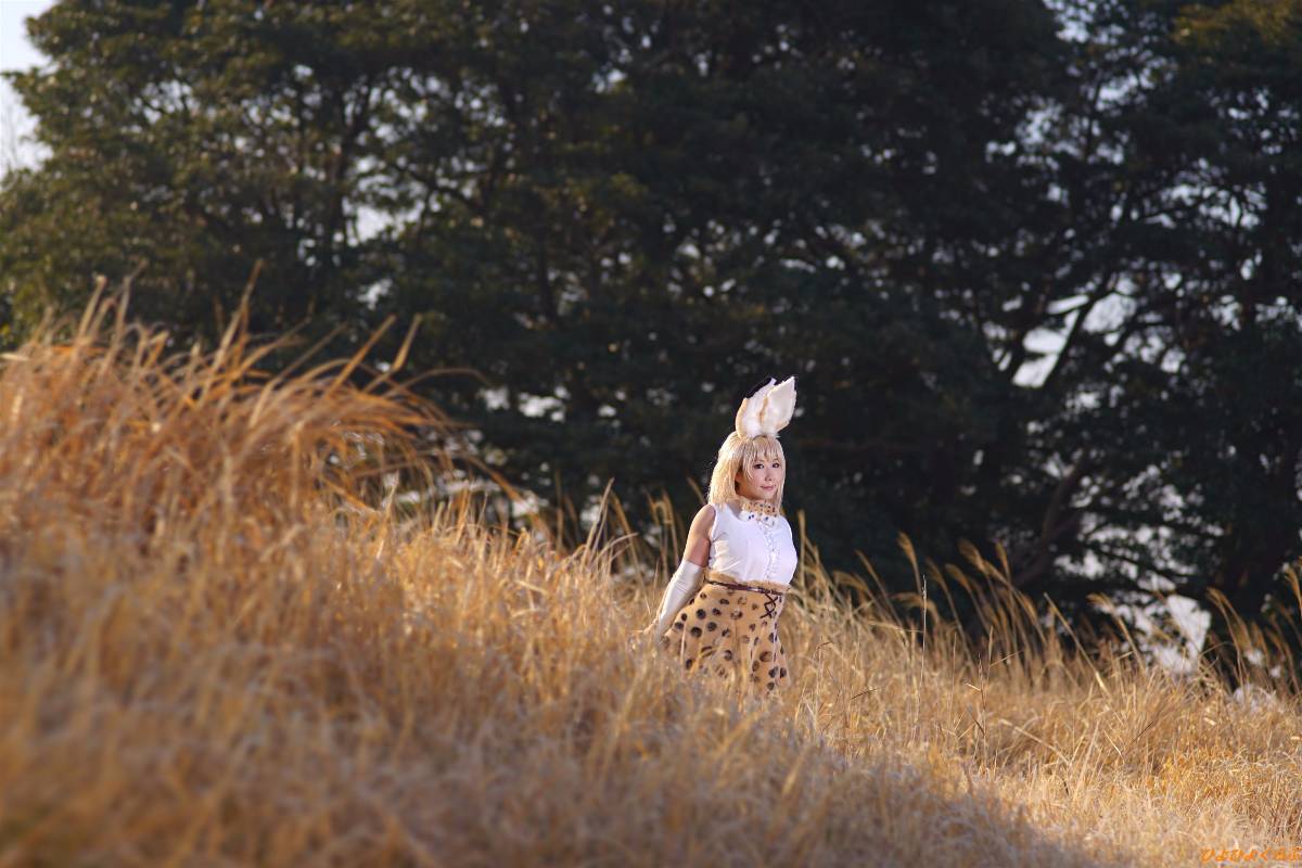 [Hiyohii Love] Bộ sưu tập ảnh của các tư thế khiêu dâm của Serval-Chan