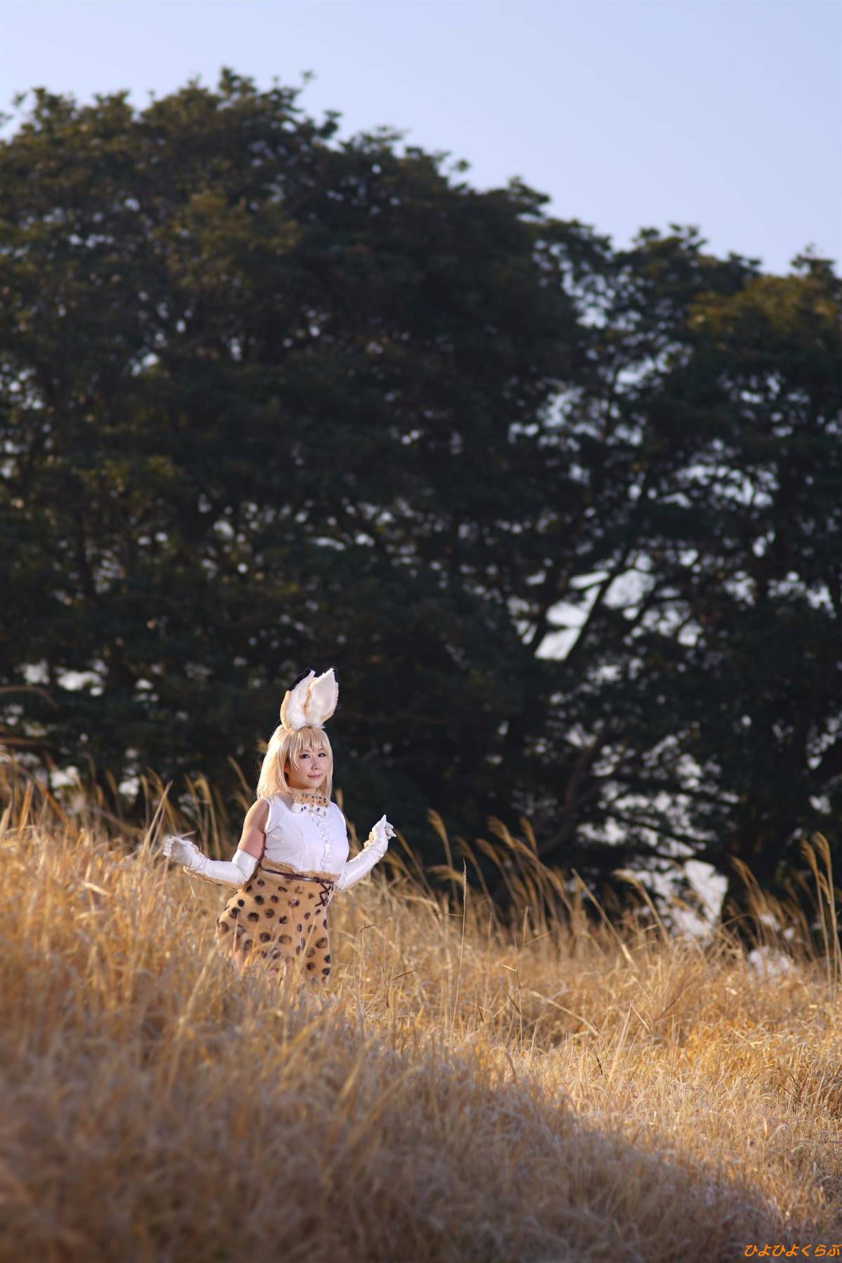 [Hiyohii Love] Bộ sưu tập ảnh của các tư thế khiêu dâm của Serval-Chan