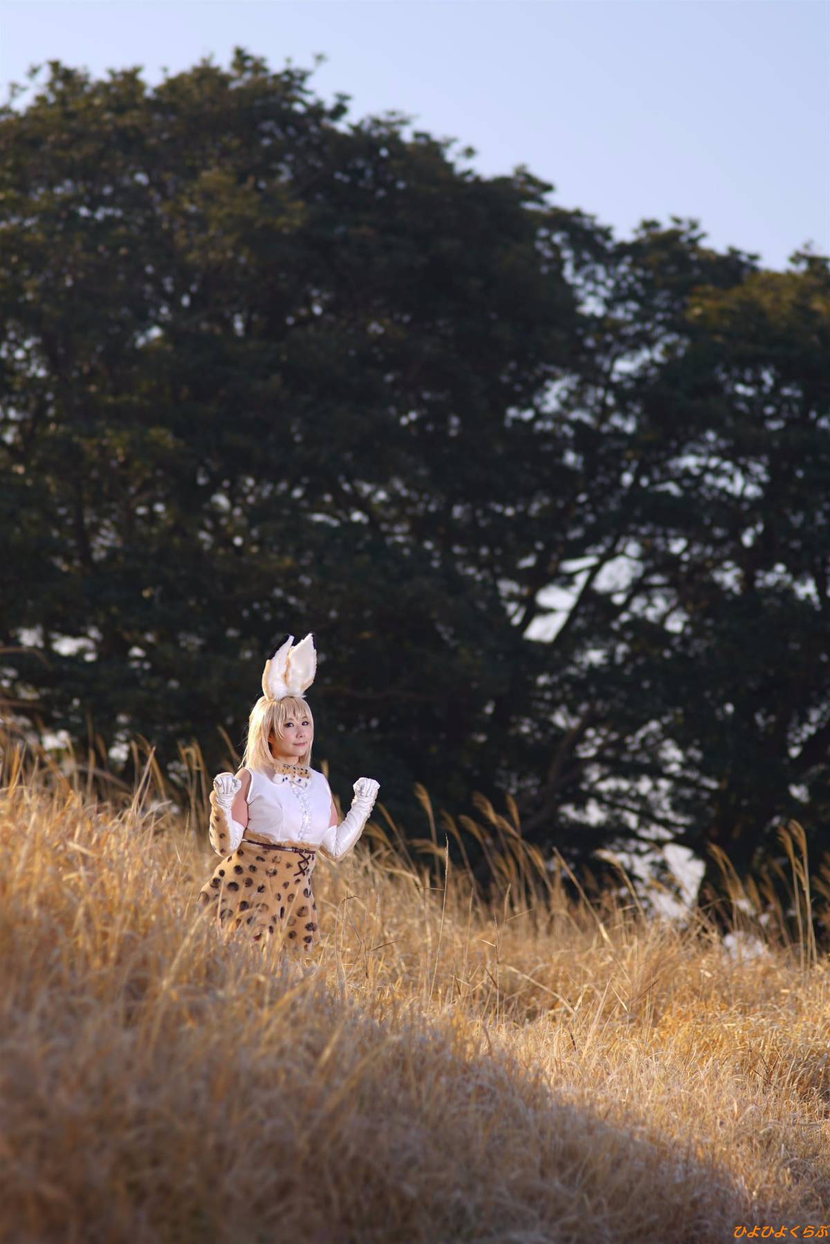 [Hiyohii Love] Bộ sưu tập ảnh của các tư thế khiêu dâm của Serval-Chan