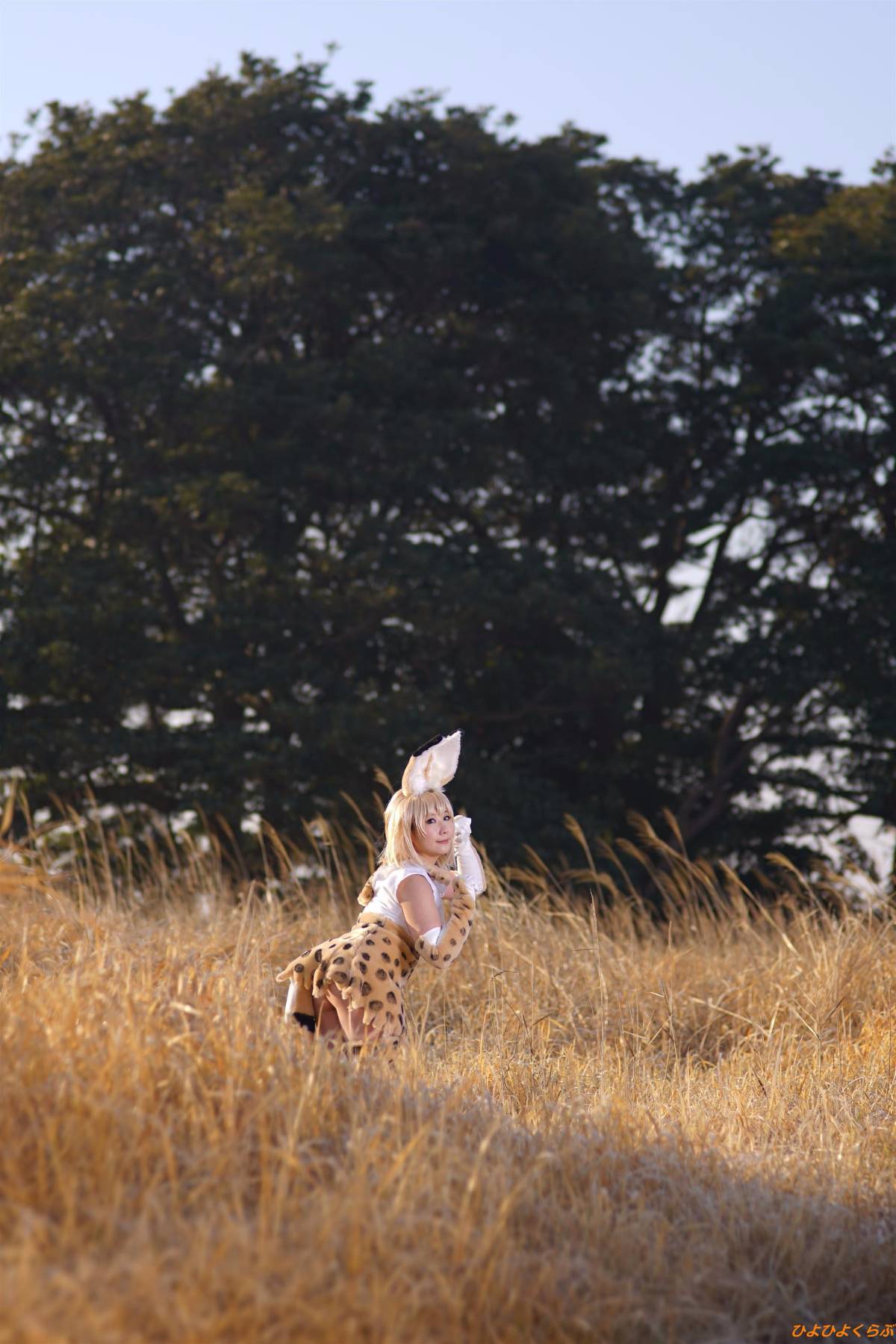 [Hiyohii Love] Bộ sưu tập ảnh của các tư thế khiêu dâm của Serval-Chan