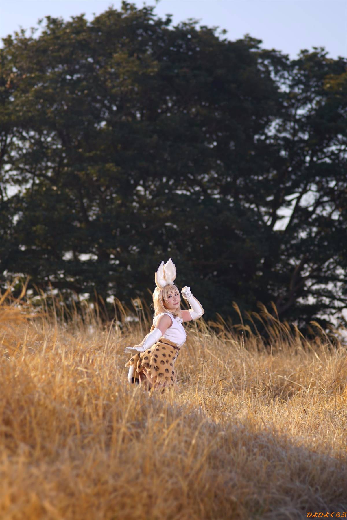 [Hiyohii Love] Bộ sưu tập ảnh của các tư thế khiêu dâm của Serval-Chan