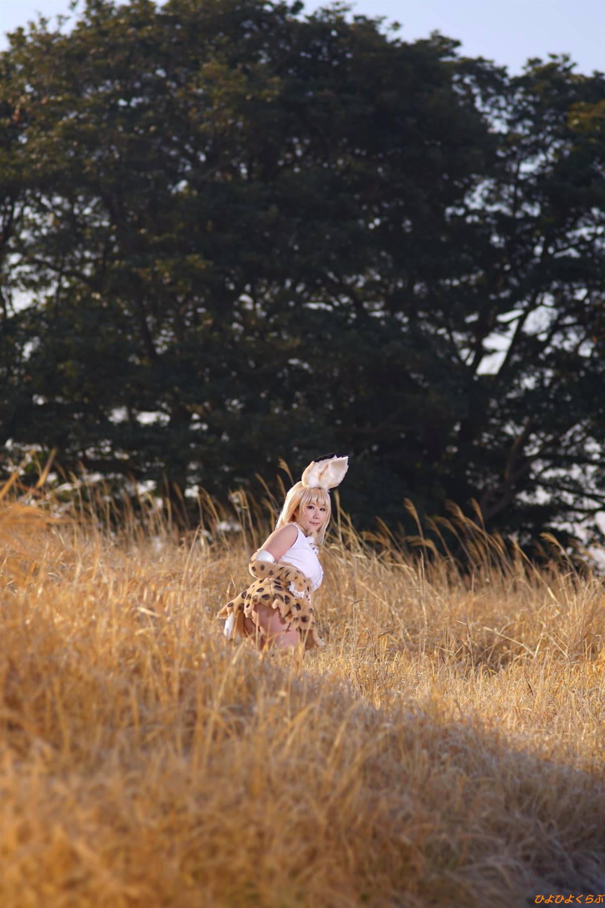 [Hiyohii Love] Bộ sưu tập ảnh của các tư thế khiêu dâm của Serval-Chan