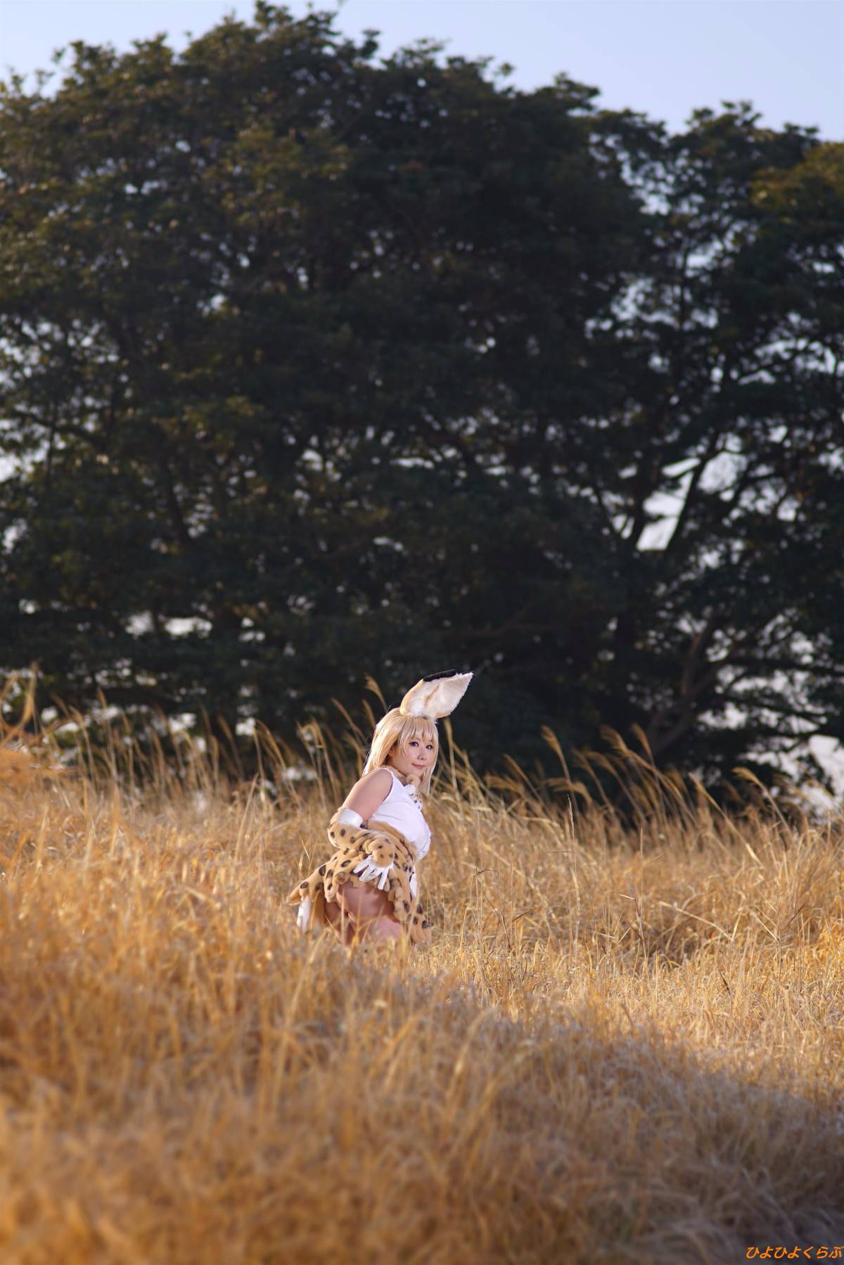 [Hiyohii Love] Bộ sưu tập ảnh của các tư thế khiêu dâm của Serval-Chan