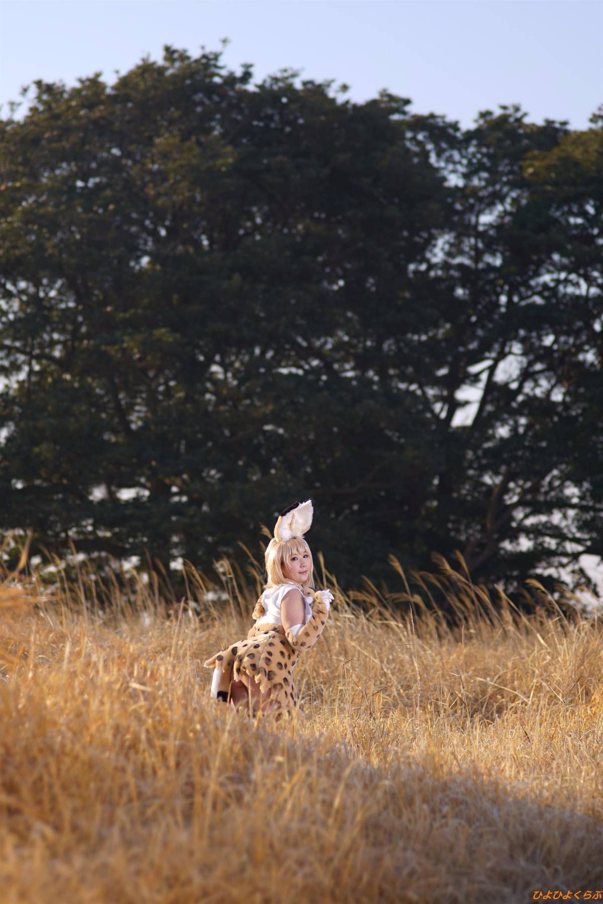 [Hiyohii Love] Bộ sưu tập ảnh của các tư thế khiêu dâm của Serval-Chan