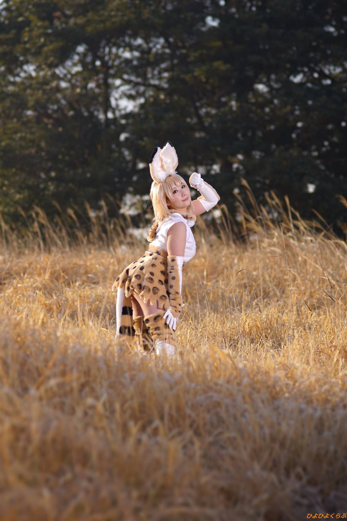 [Hiyohii Love] Bộ sưu tập ảnh của các tư thế khiêu dâm của Serval-Chan