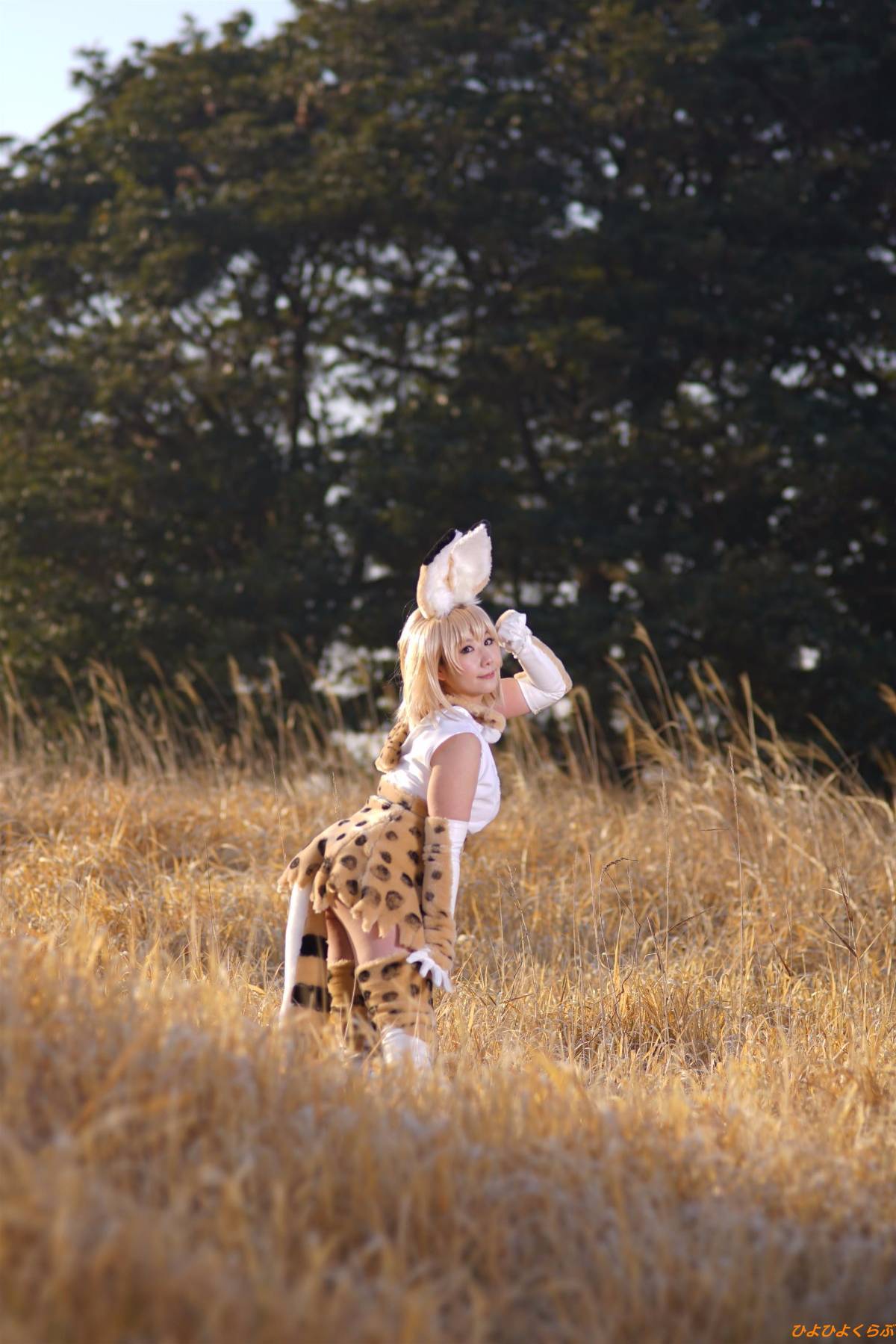 [Hiyohii Love] Bộ sưu tập ảnh của các tư thế khiêu dâm của Serval-Chan