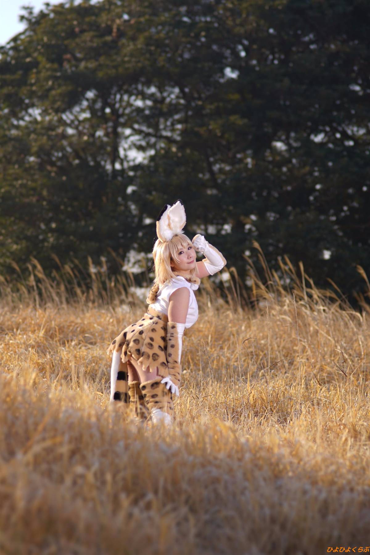 [Hiyohii Love] Bộ sưu tập ảnh của các tư thế khiêu dâm của Serval-Chan