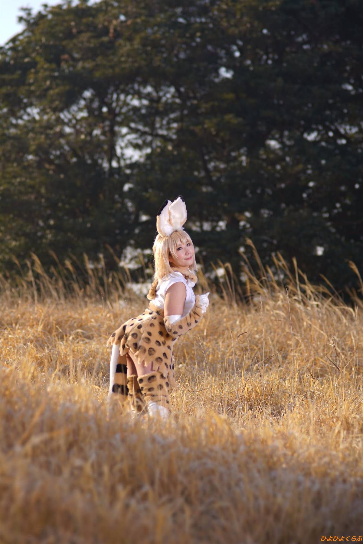 [Hiyohii Love] Bộ sưu tập ảnh của các tư thế khiêu dâm của Serval-Chan