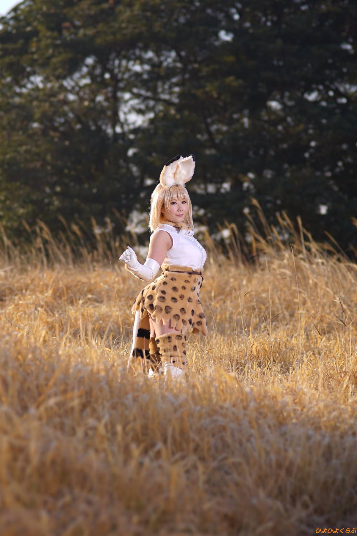 [Hiyohii Love] Bộ sưu tập ảnh của các tư thế khiêu dâm của Serval-Chan