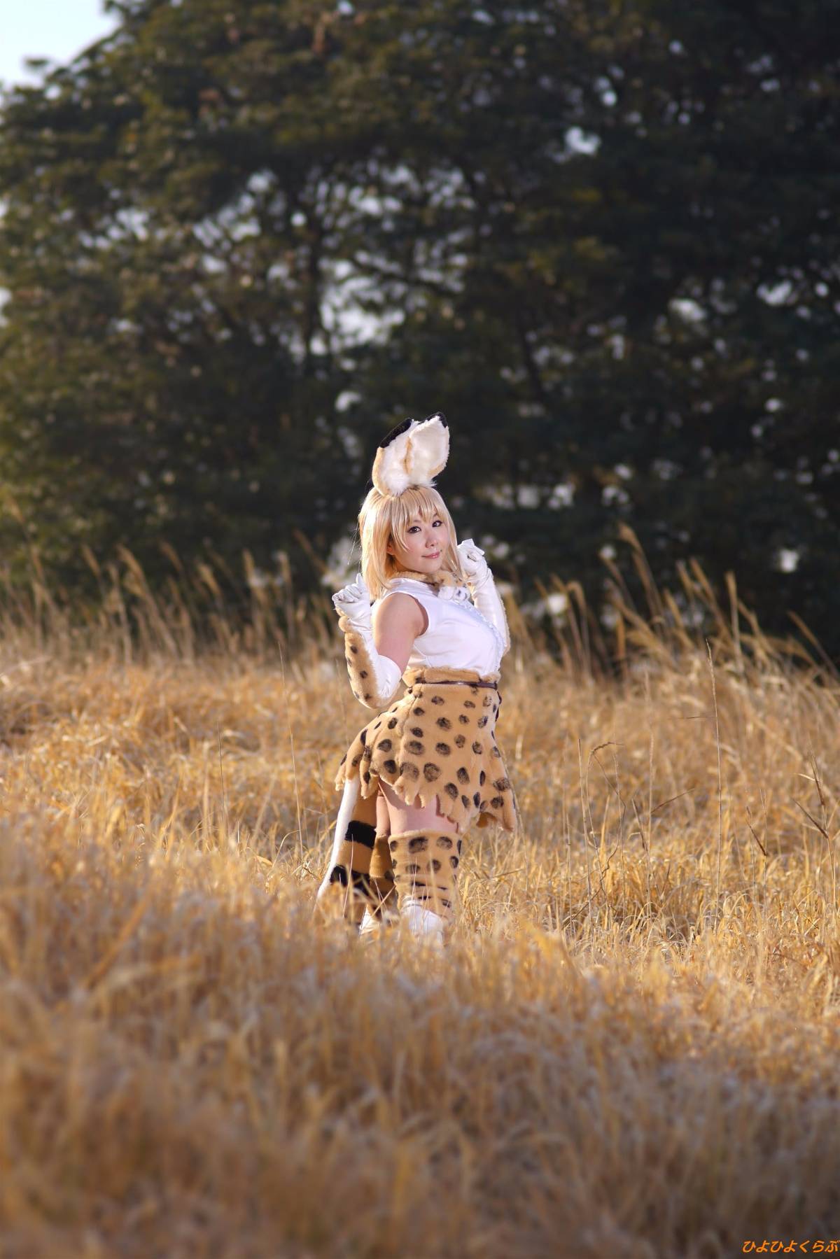 [Hiyohii Love] Bộ sưu tập ảnh của các tư thế khiêu dâm của Serval-Chan