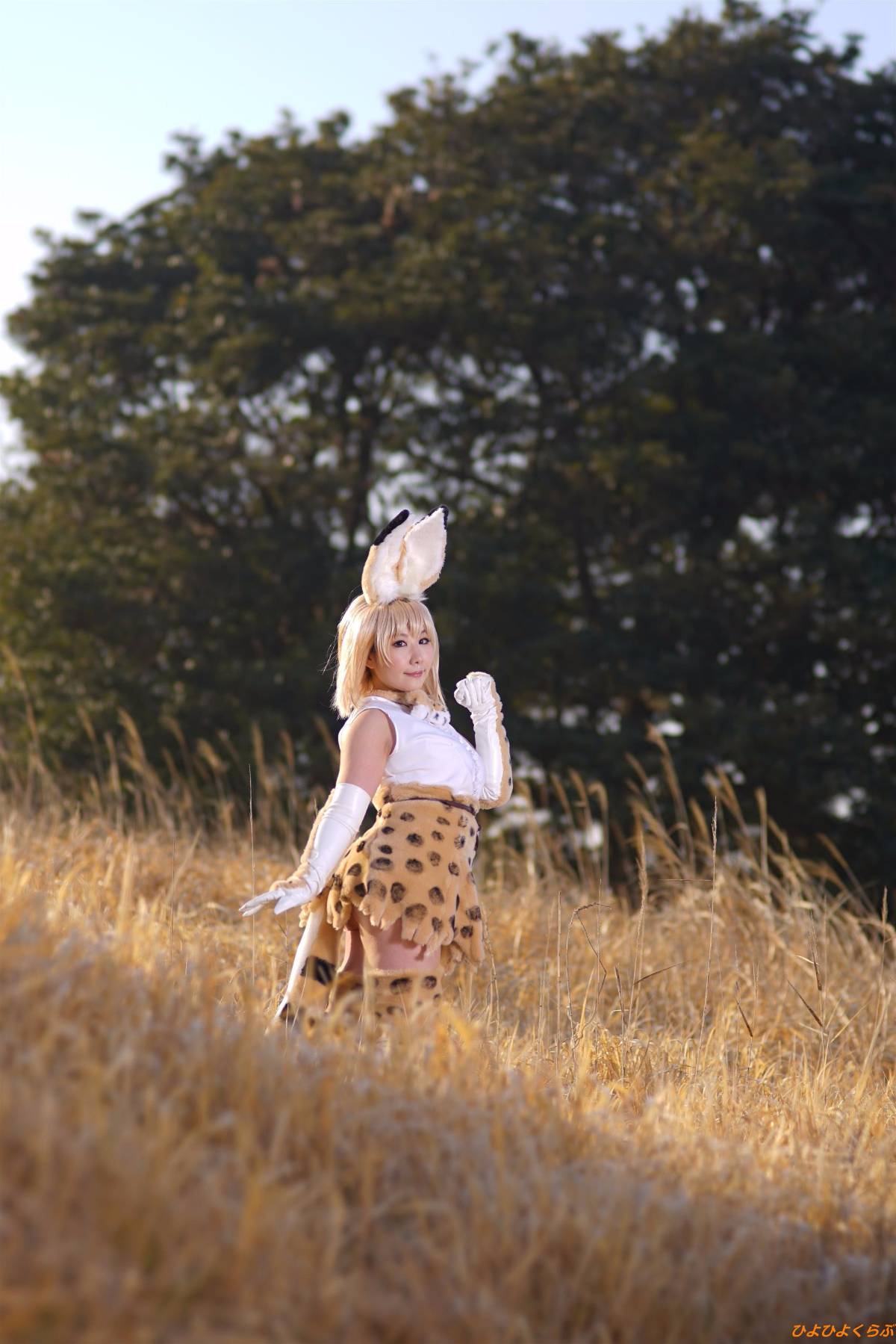 [Hiyohii Love] Bộ sưu tập ảnh của các tư thế khiêu dâm của Serval-Chan