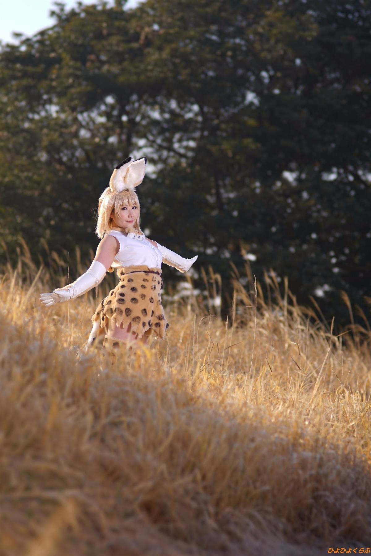 [Hiyohii Love] Bộ sưu tập ảnh của các tư thế khiêu dâm của Serval-Chan