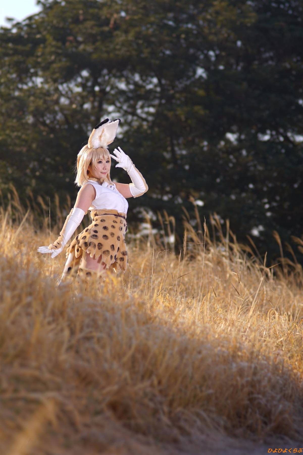 [Hiyohii Love] Bộ sưu tập ảnh của các tư thế khiêu dâm của Serval-Chan