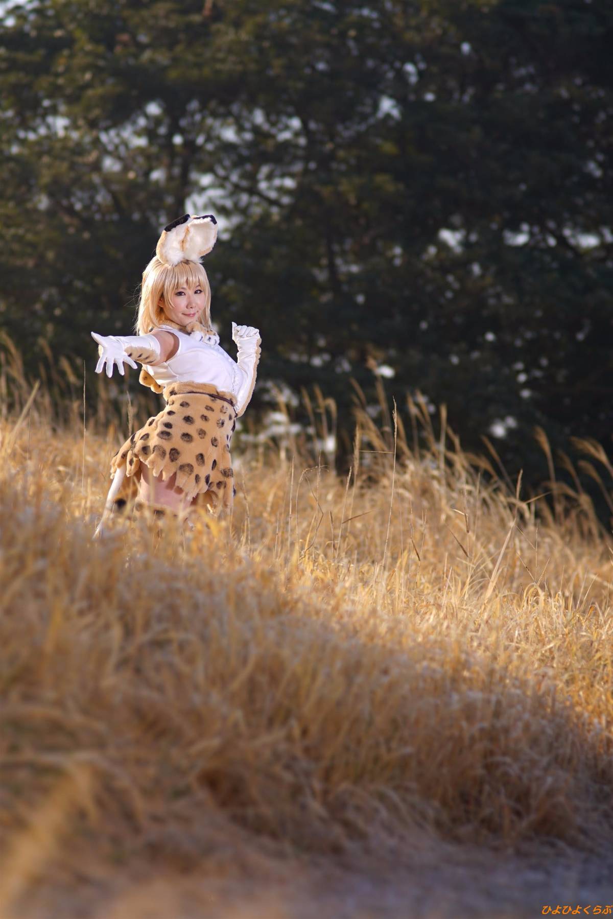 [Hiyohii Love] Bộ sưu tập ảnh của các tư thế khiêu dâm của Serval-Chan