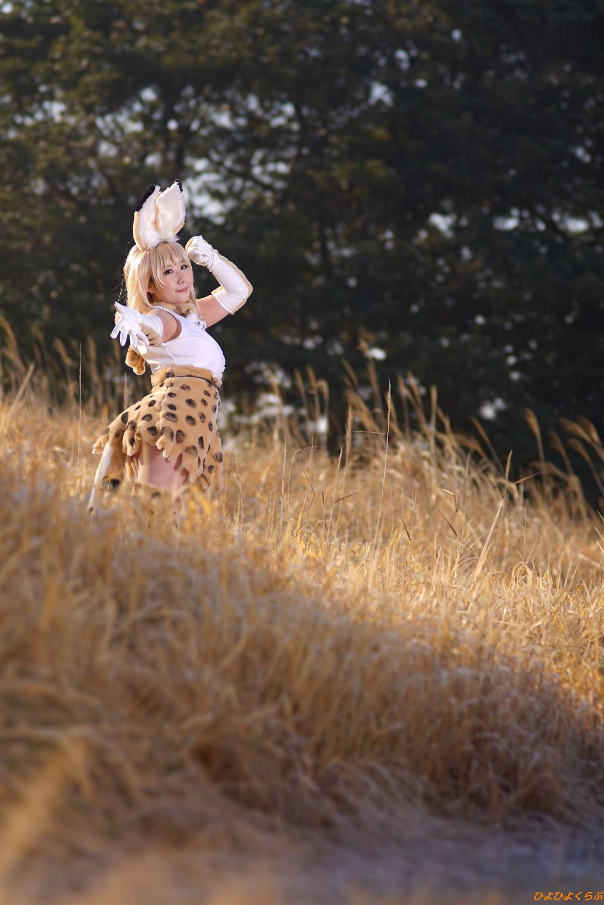 [Hiyohii Love] Bộ sưu tập ảnh của các tư thế khiêu dâm của Serval-Chan