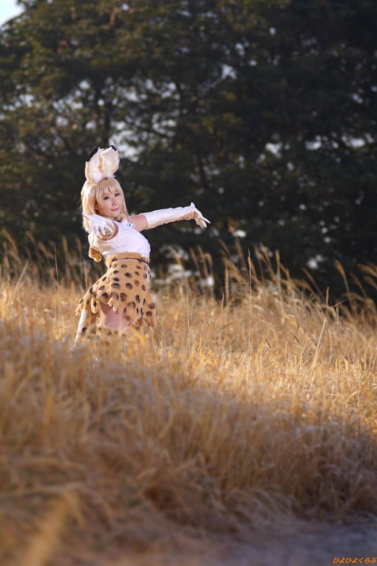 [Hiyohii Love] Bộ sưu tập ảnh của các tư thế khiêu dâm của Serval-Chan