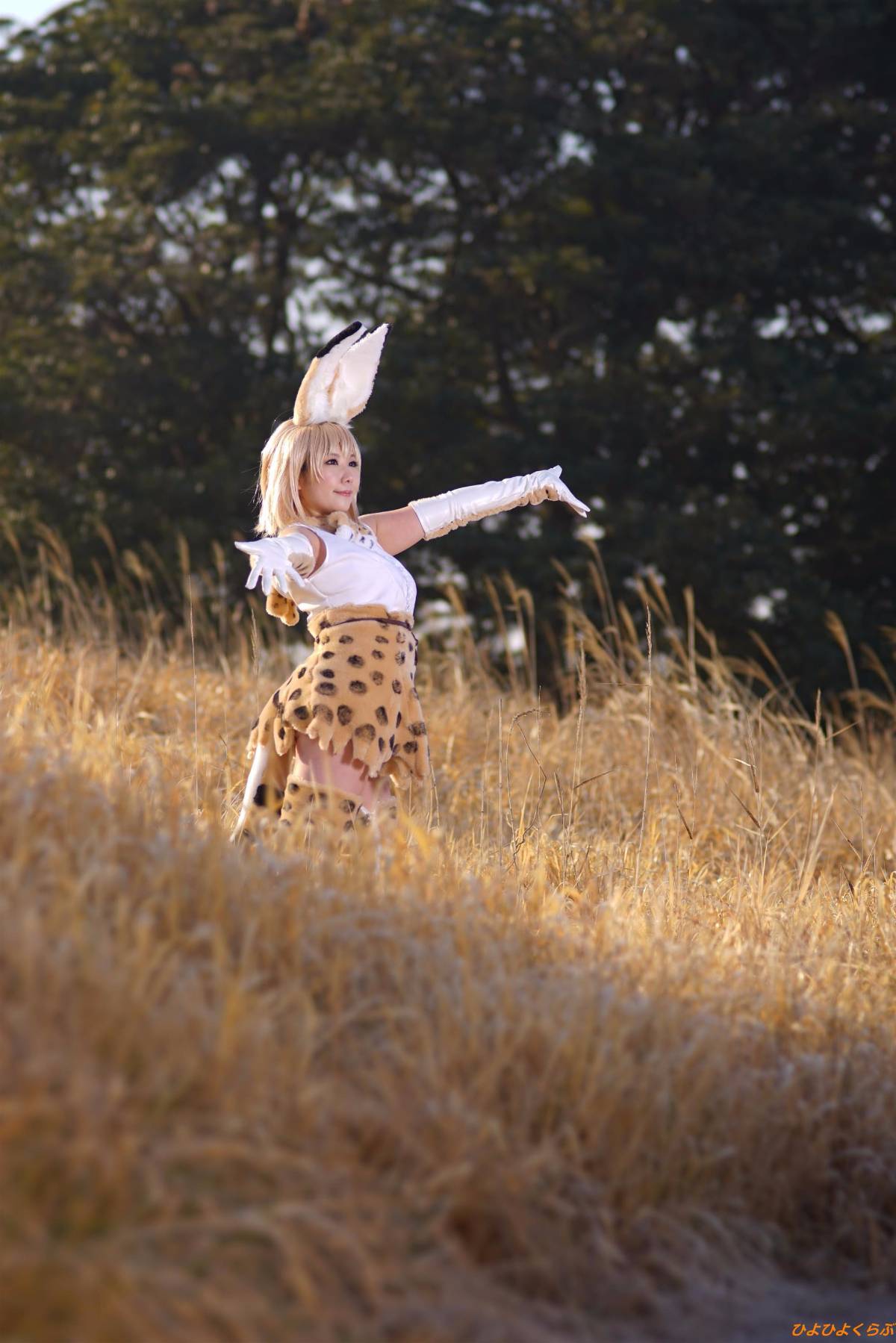 [Hiyohii Love] Bộ sưu tập ảnh của các tư thế khiêu dâm của Serval-Chan