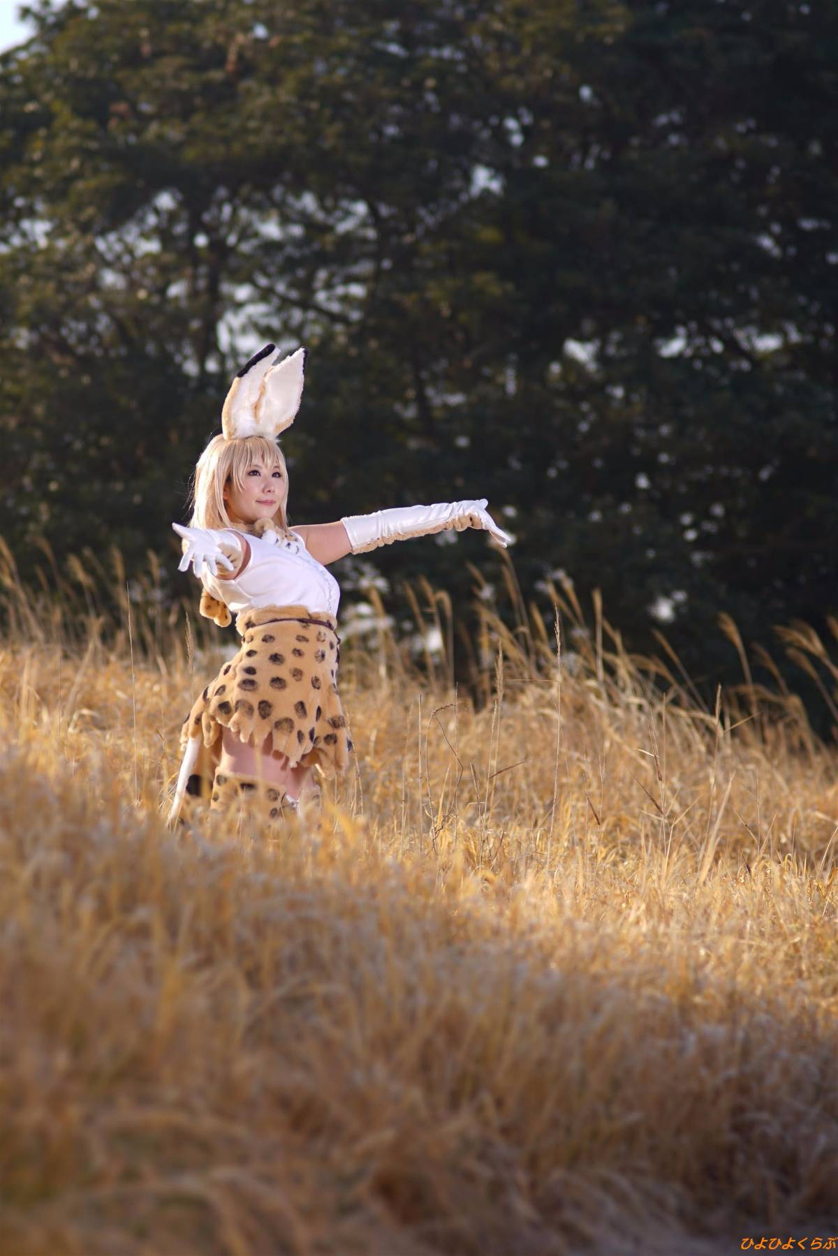 [Hiyohii Love] Bộ sưu tập ảnh của các tư thế khiêu dâm của Serval-Chan