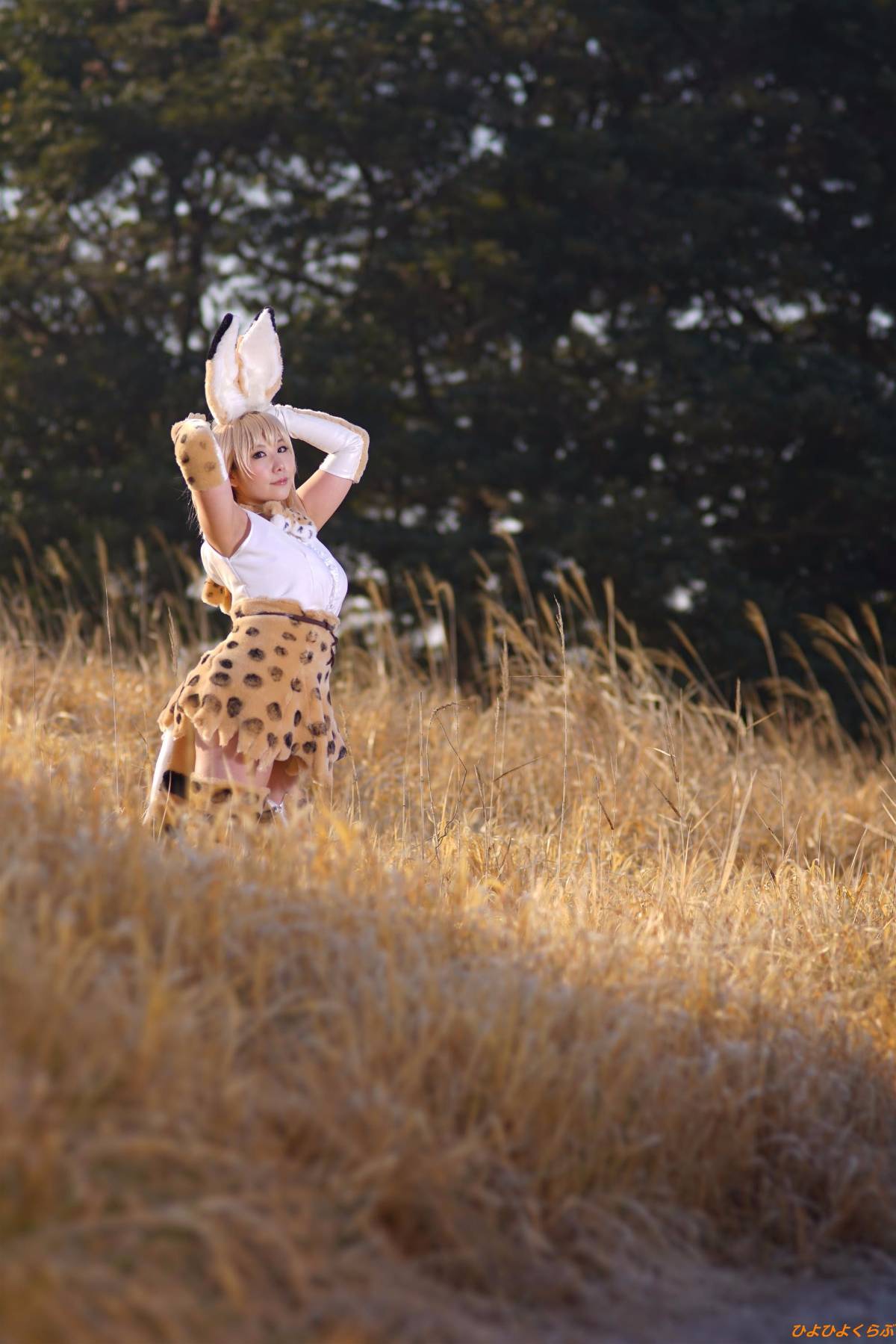 [Hiyohii Love] Bộ sưu tập ảnh của các tư thế khiêu dâm của Serval-Chan