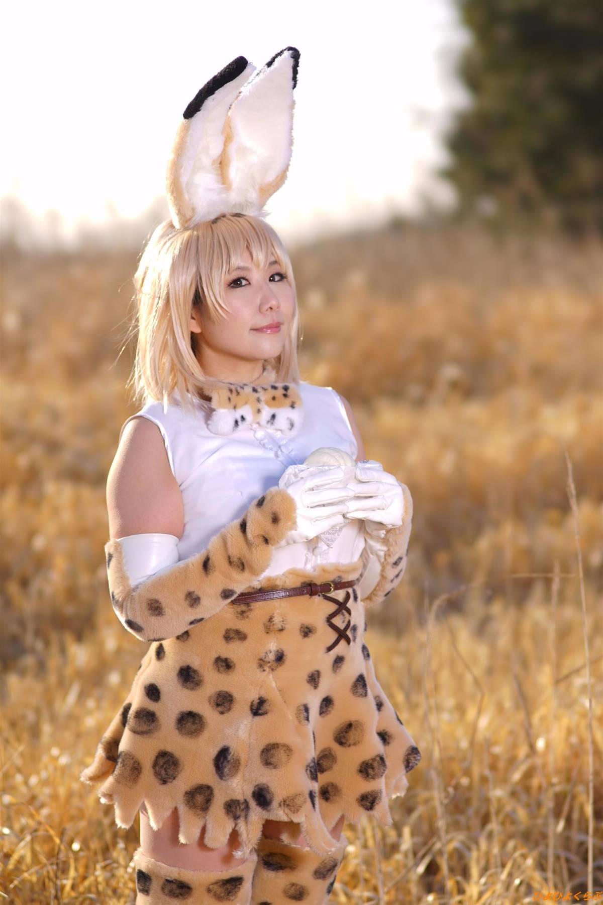 [Hiyohii Love] Bộ sưu tập ảnh của các tư thế khiêu dâm của Serval-Chan