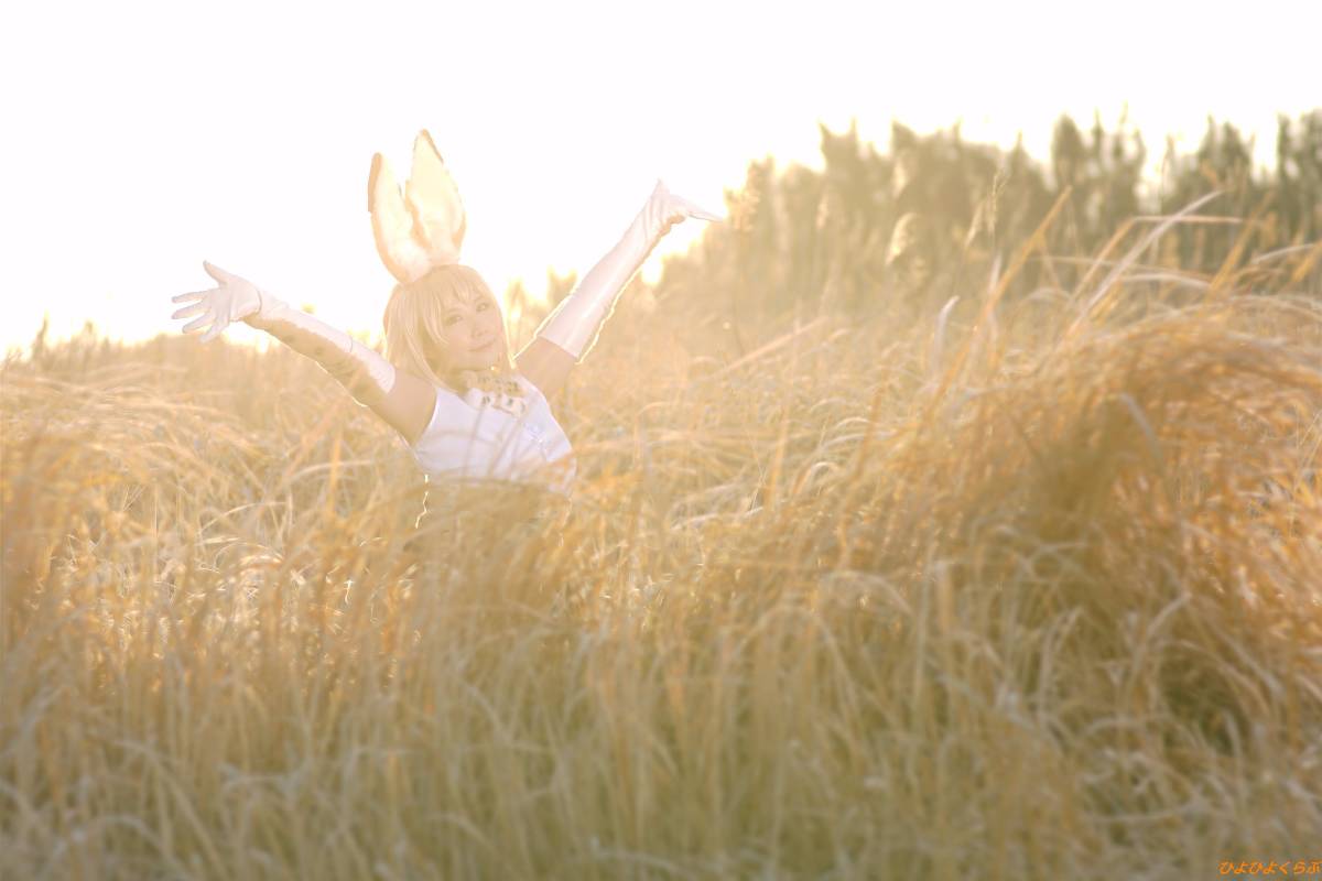 [Hiyohii Love] Bộ sưu tập ảnh của các tư thế khiêu dâm của Serval-Chan