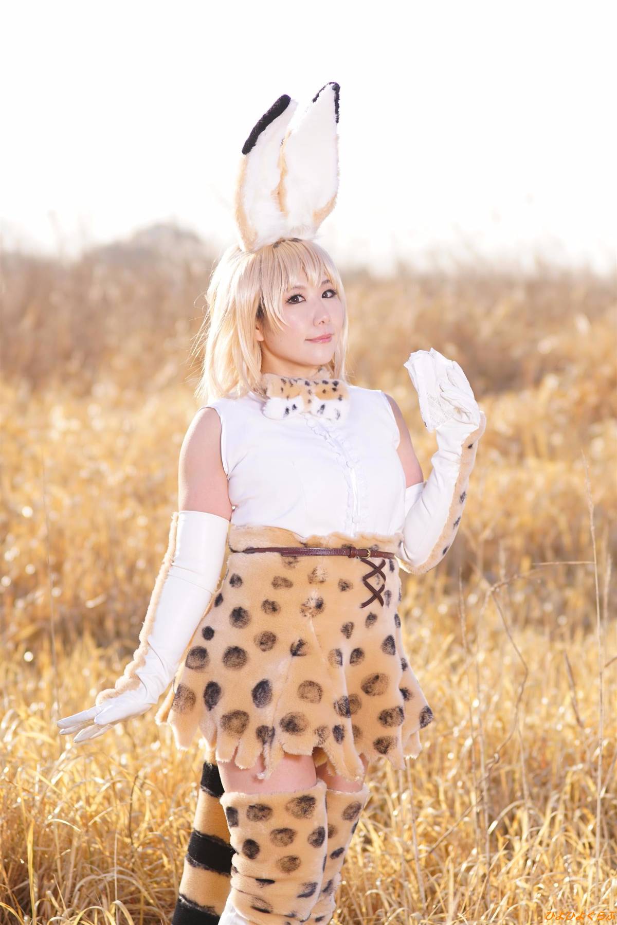 [Hiyohii Love] Bộ sưu tập ảnh của các tư thế khiêu dâm của Serval-Chan