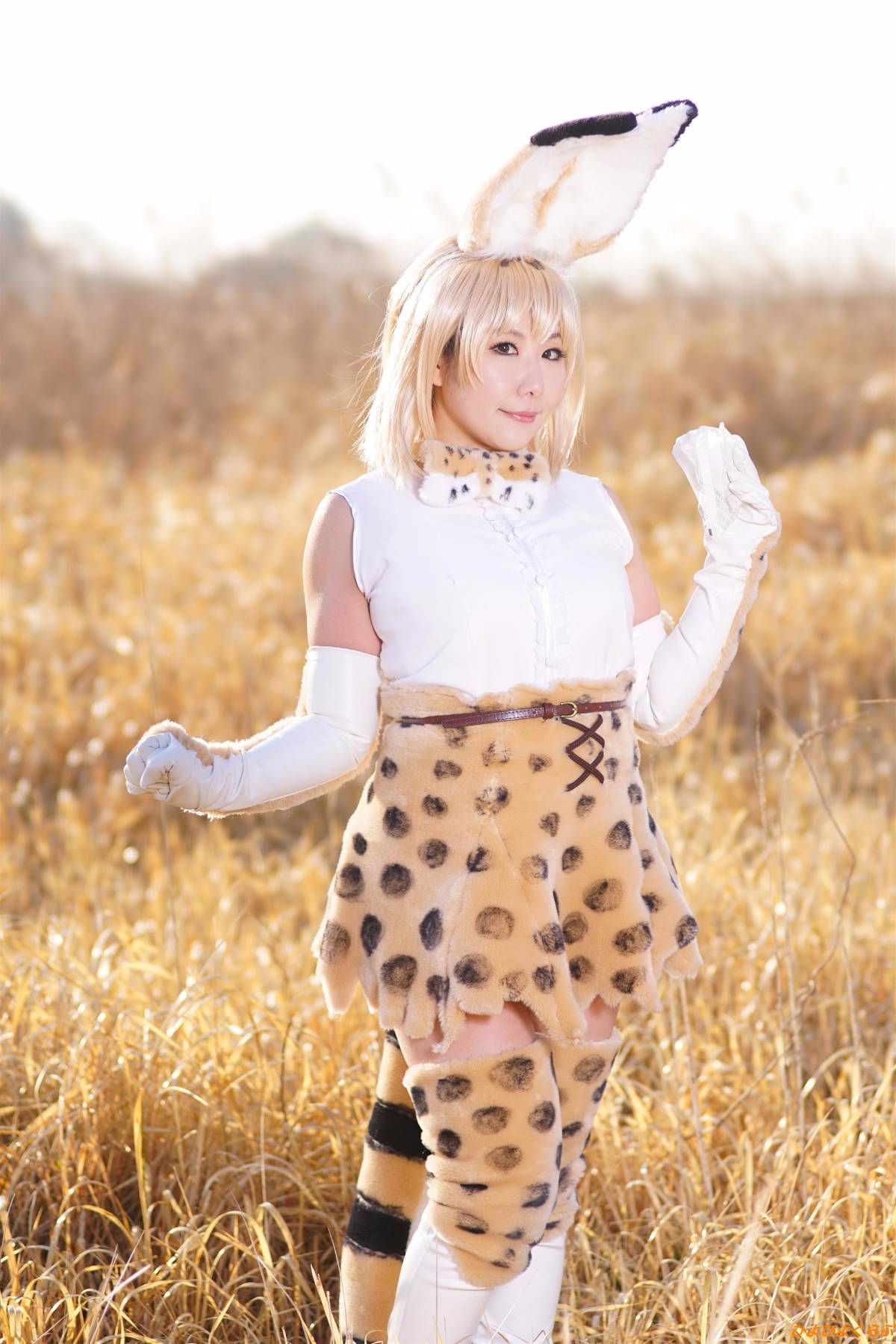 [Hiyohii Love] Bộ sưu tập ảnh của các tư thế khiêu dâm của Serval-Chan