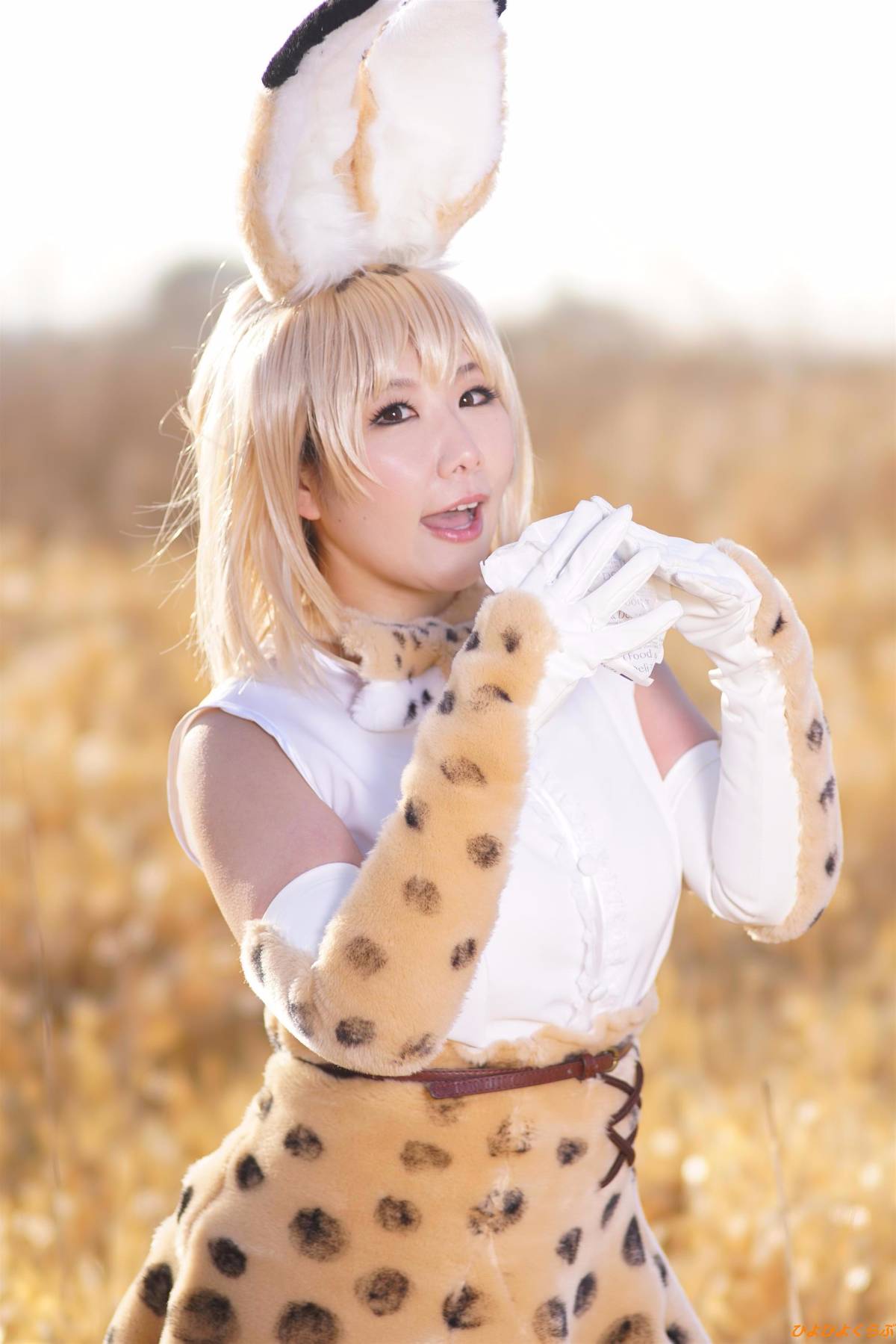 [Hiyohii Love] Bộ sưu tập ảnh của các tư thế khiêu dâm của Serval-Chan