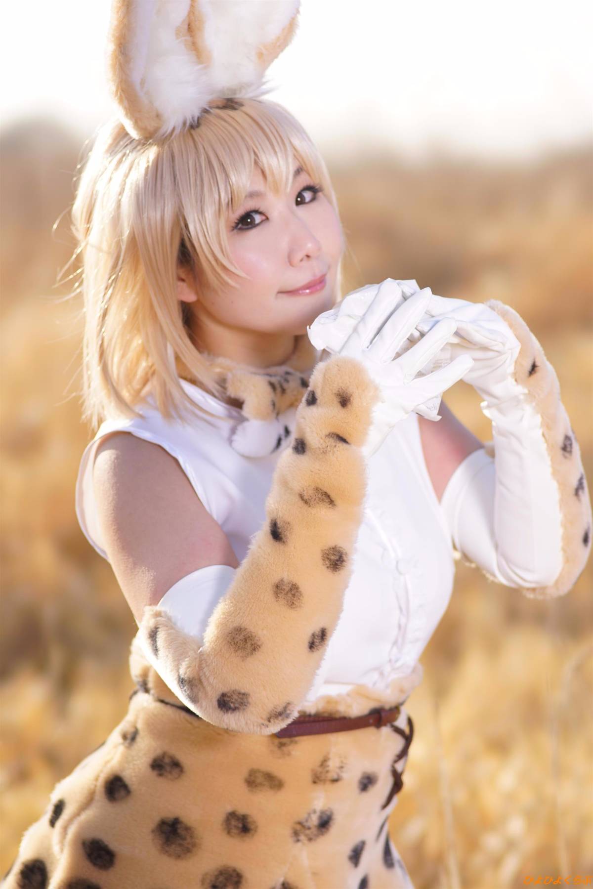 [Hiyohii Love] Bộ sưu tập ảnh của các tư thế khiêu dâm của Serval-Chan