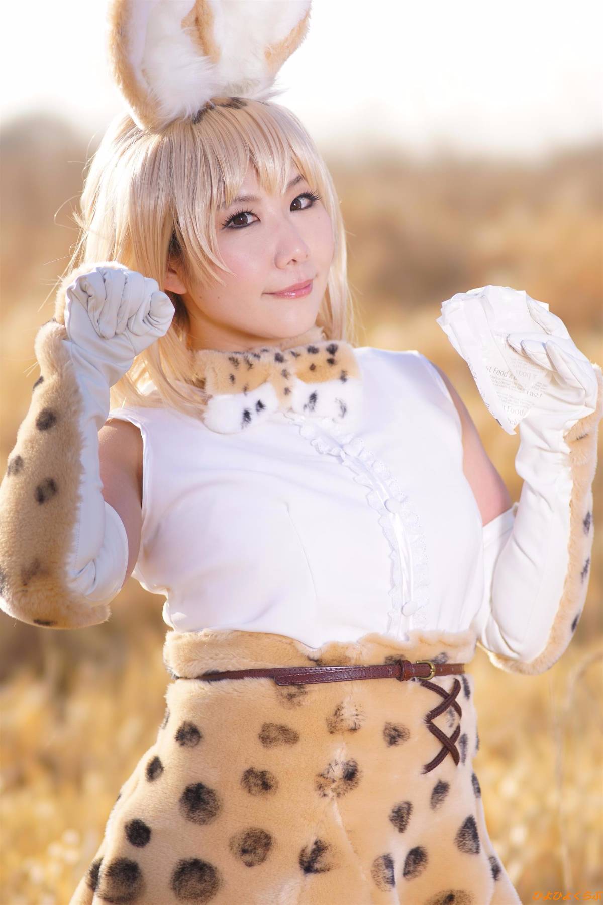 [Hiyohii Love] Bộ sưu tập ảnh của các tư thế khiêu dâm của Serval-Chan