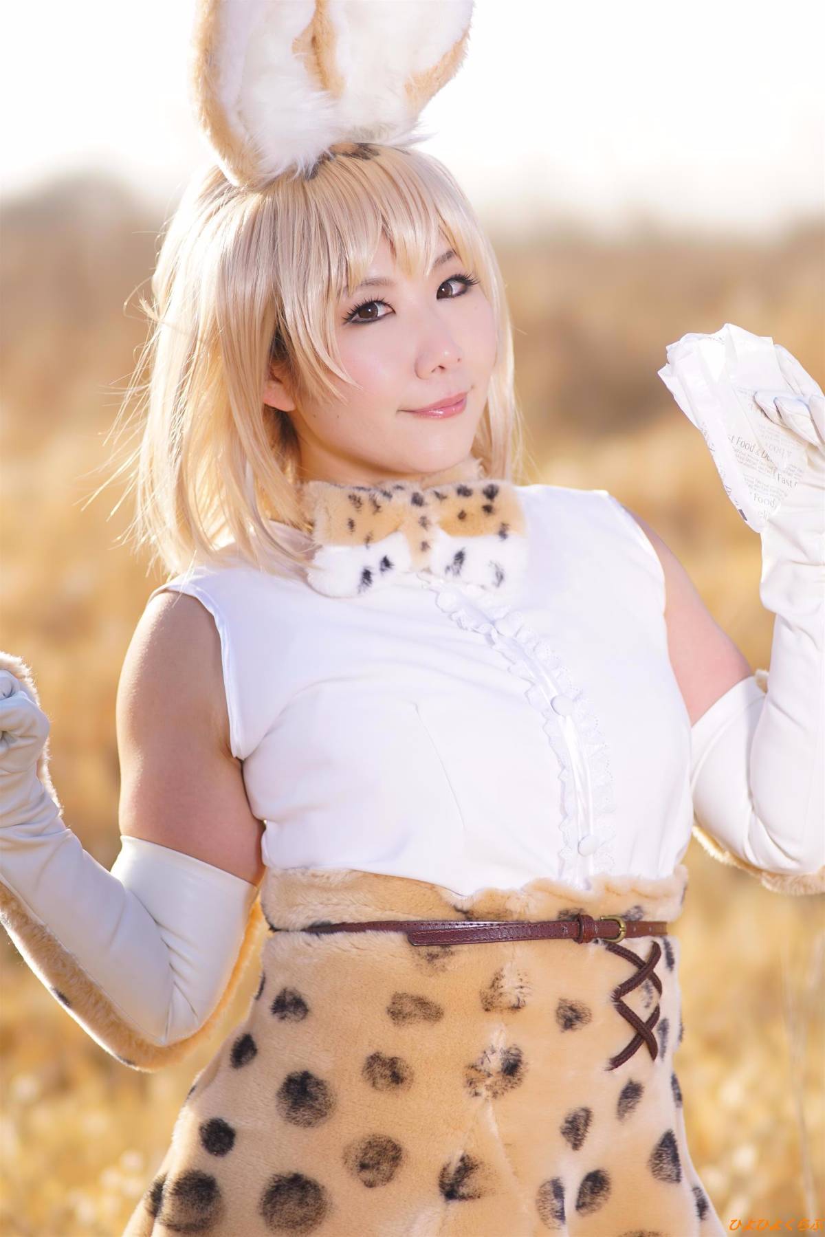 [Hiyohii Love] Bộ sưu tập ảnh của các tư thế khiêu dâm của Serval-Chan