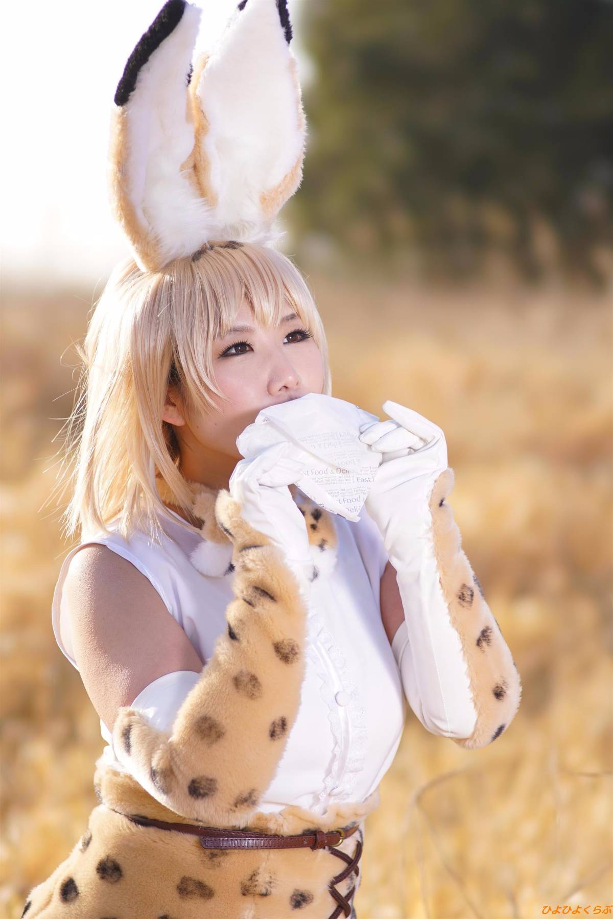 [Hiyohii Love] Bộ sưu tập ảnh của các tư thế khiêu dâm của Serval-Chan