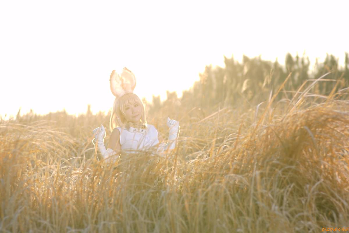 [Hiyohii Love] Bộ sưu tập ảnh của các tư thế khiêu dâm của Serval-Chan