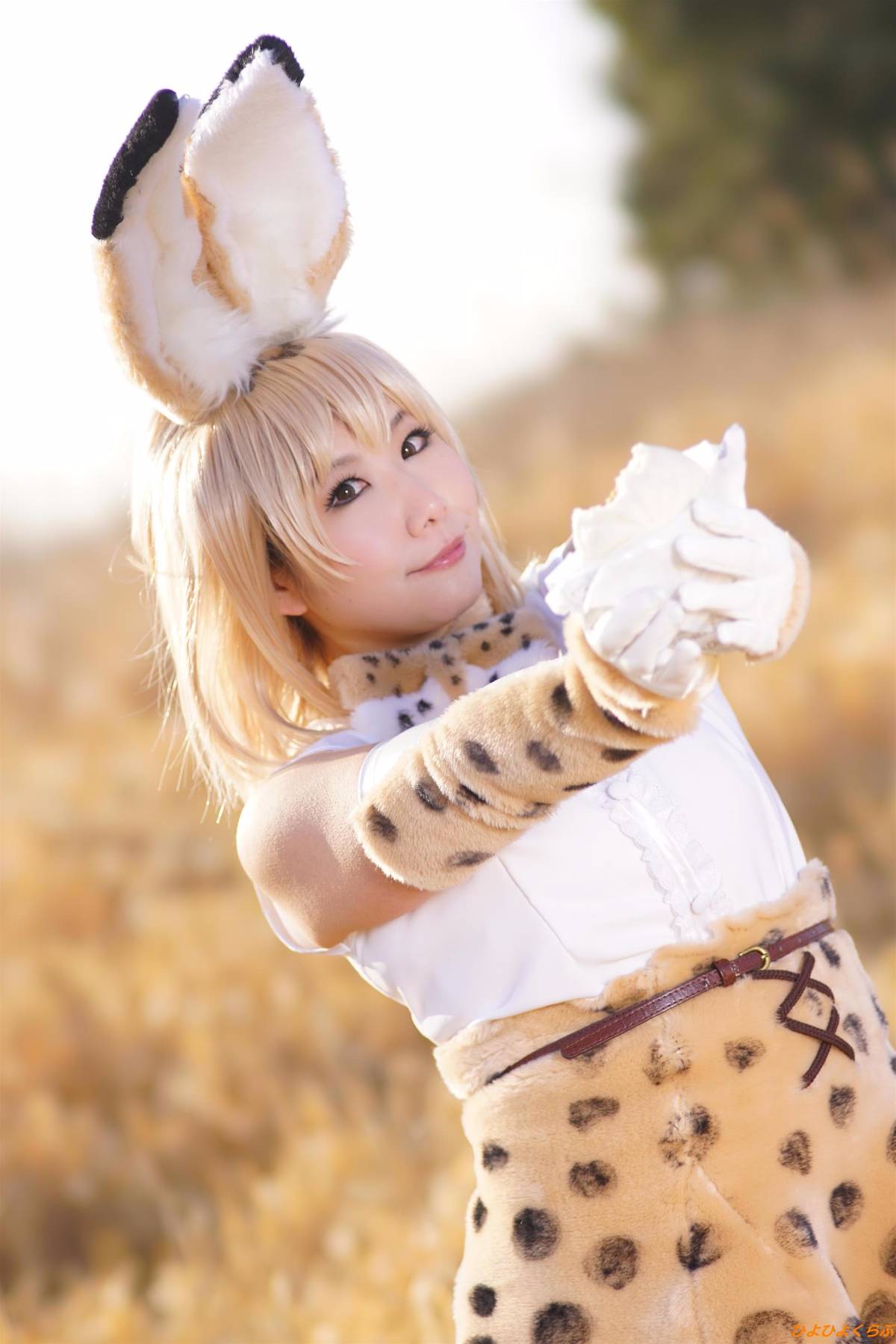 [Hiyohii Love] Bộ sưu tập ảnh của các tư thế khiêu dâm của Serval-Chan