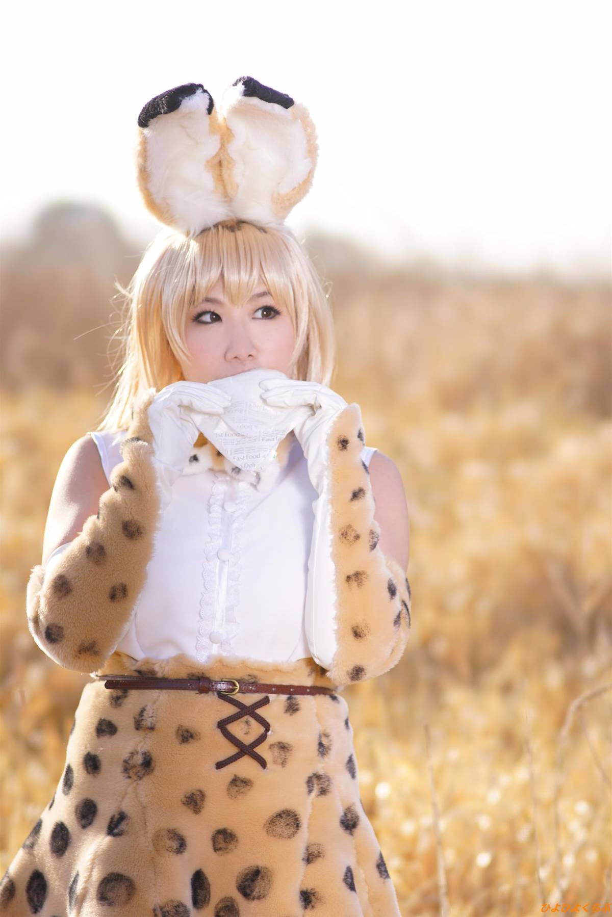 [Hiyohii Love] Bộ sưu tập ảnh của các tư thế khiêu dâm của Serval-Chan