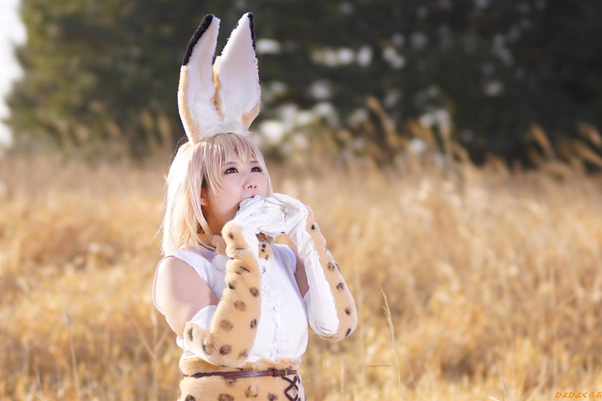 [Hiyohii Love] Bộ sưu tập ảnh của các tư thế khiêu dâm của Serval-Chan