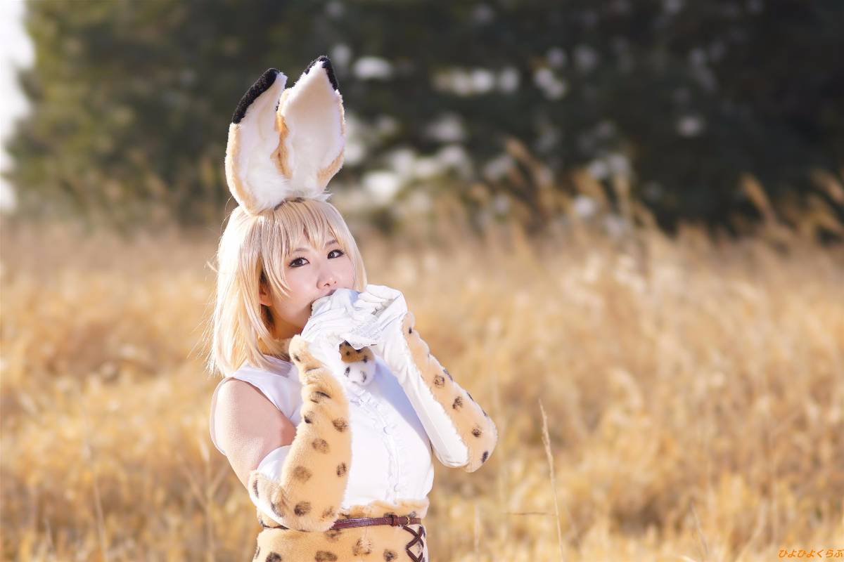 [Hiyohii Love] Bộ sưu tập ảnh của các tư thế khiêu dâm của Serval-Chan