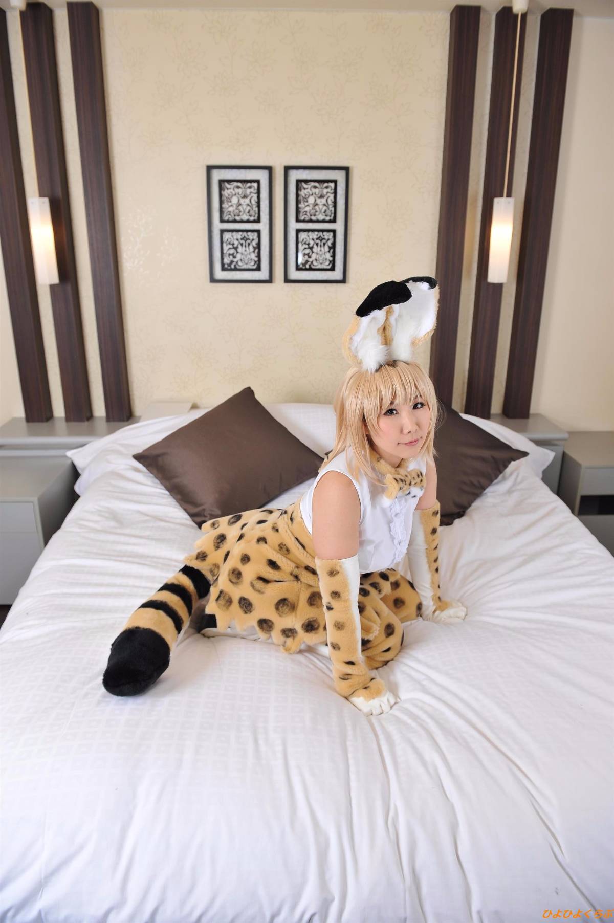 [Hiyohii Love] Bộ sưu tập ảnh của các tư thế khiêu dâm của Serval-Chan