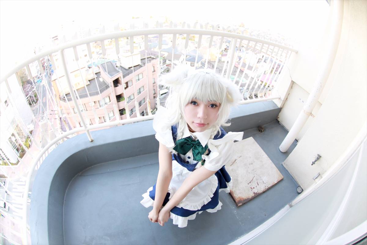 [CANIAC màu cam] Inu Sakuya ngoan ngoãn