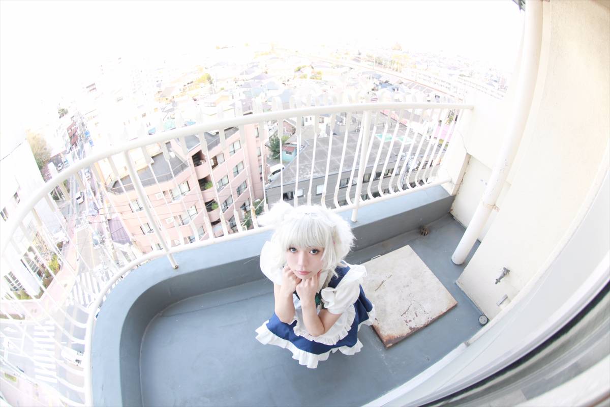 [CANIAC màu cam] Inu Sakuya ngoan ngoãn