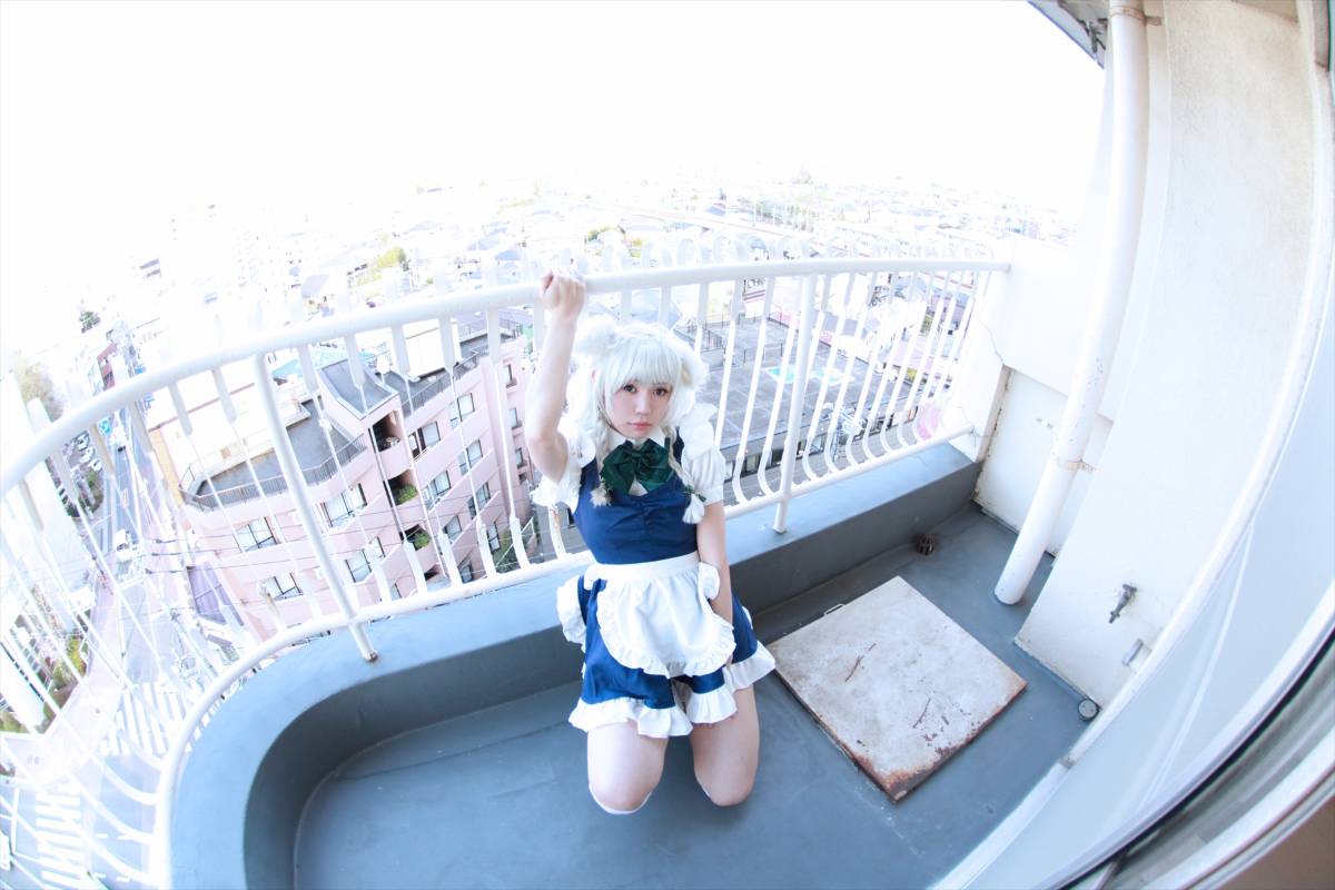 [CANIAC màu cam] Inu Sakuya ngoan ngoãn