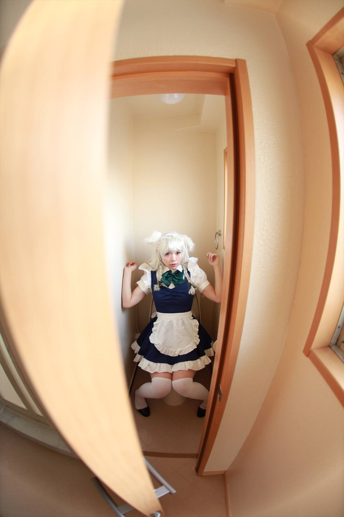 [CANIAC màu cam] Inu Sakuya ngoan ngoãn