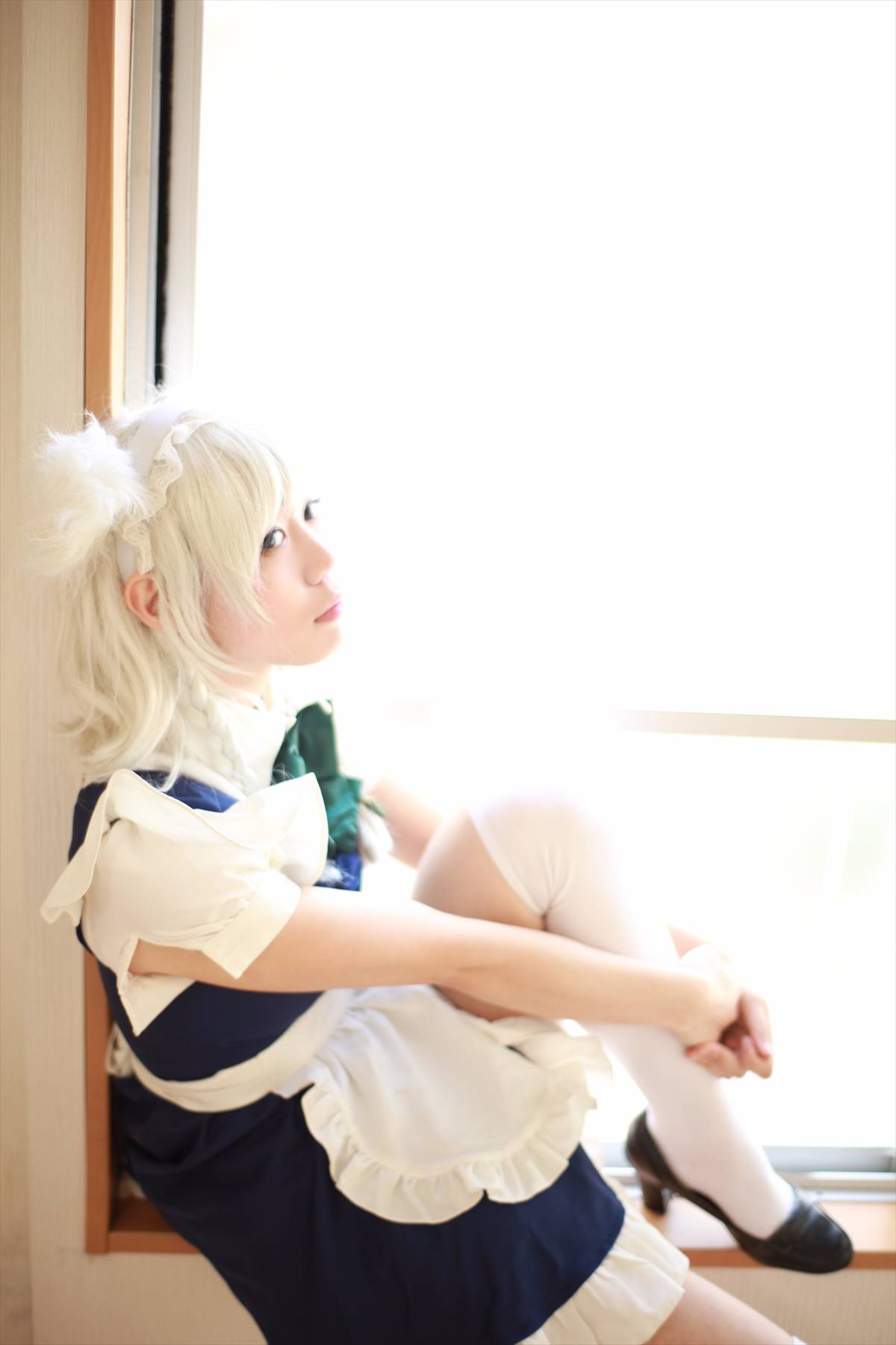 [CANIAC màu cam] Inu Sakuya ngoan ngoãn