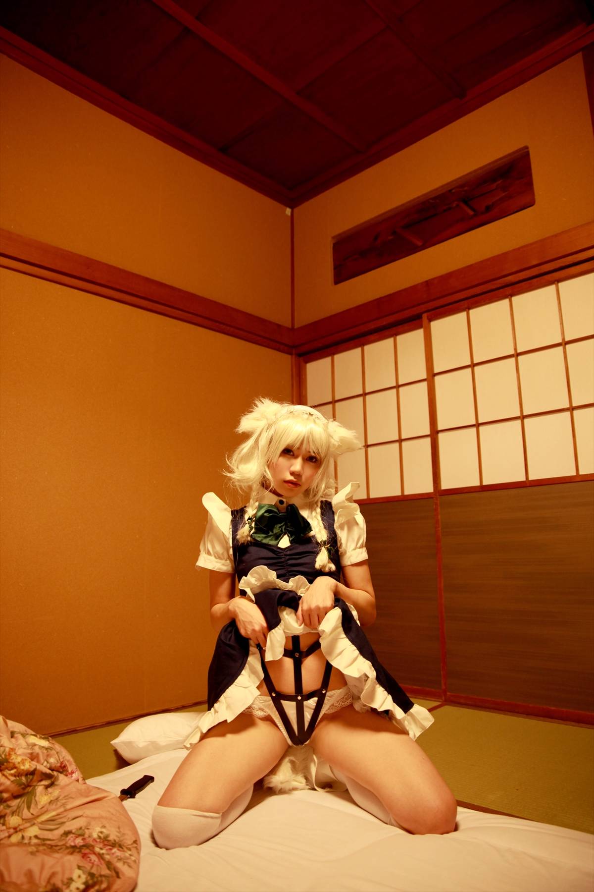 [CANIAC màu cam] Inu Sakuya ngoan ngoãn